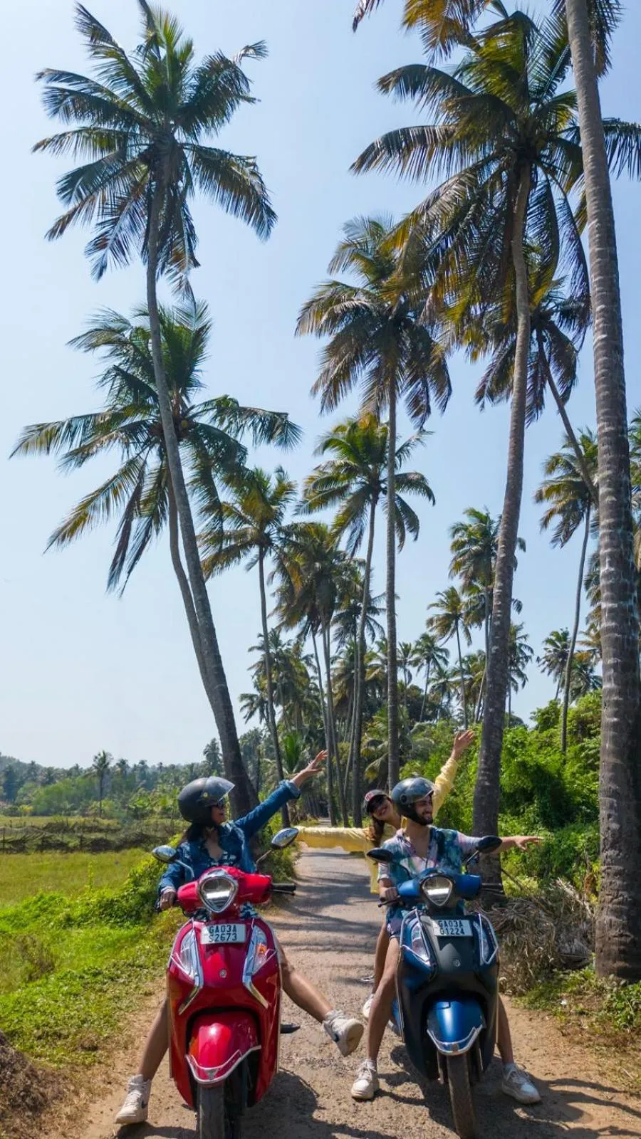 Natural landscape in Fairfield by Marriott Goa Calangute