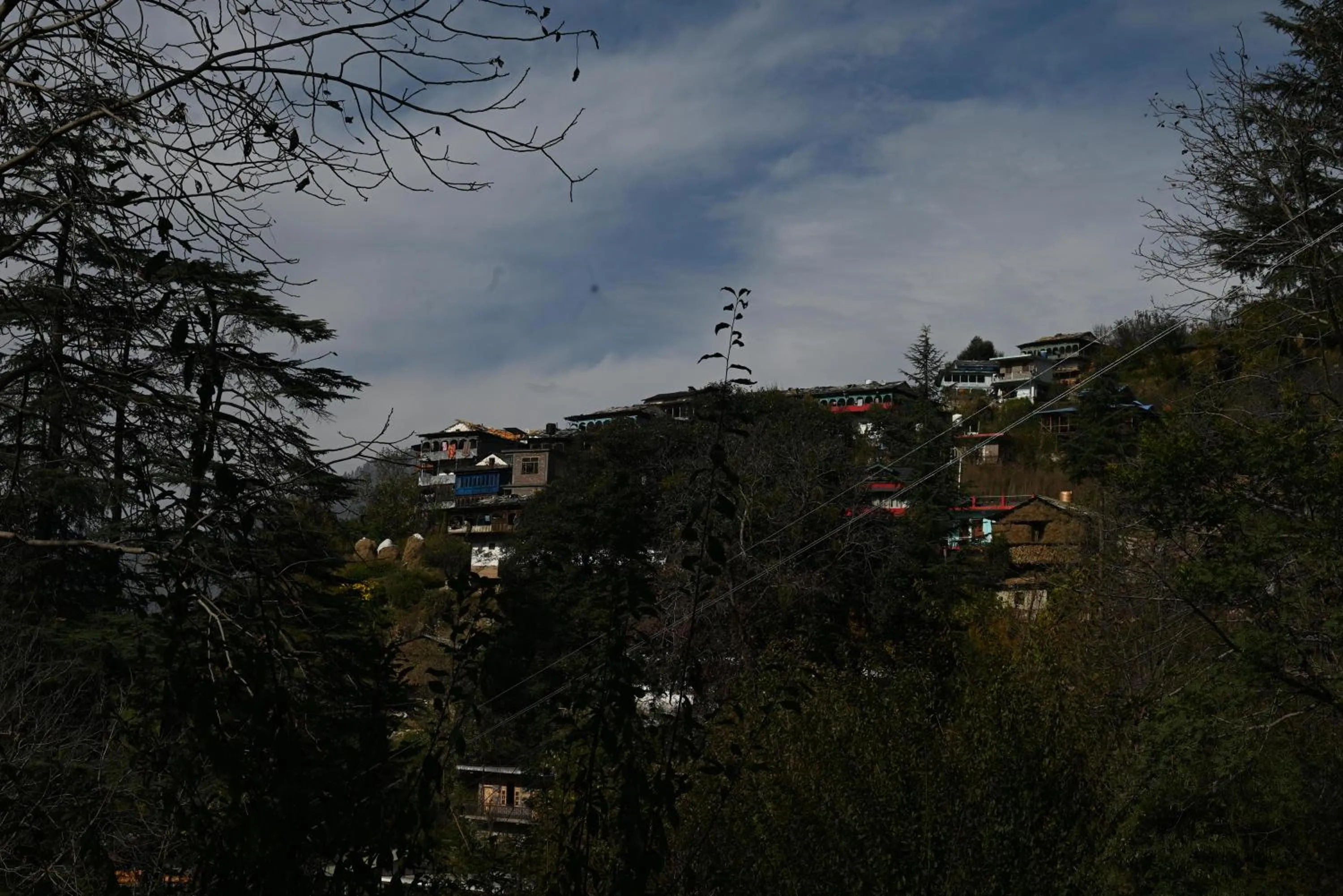 Natural landscape in MOZO Inn&Cafe Jibhi