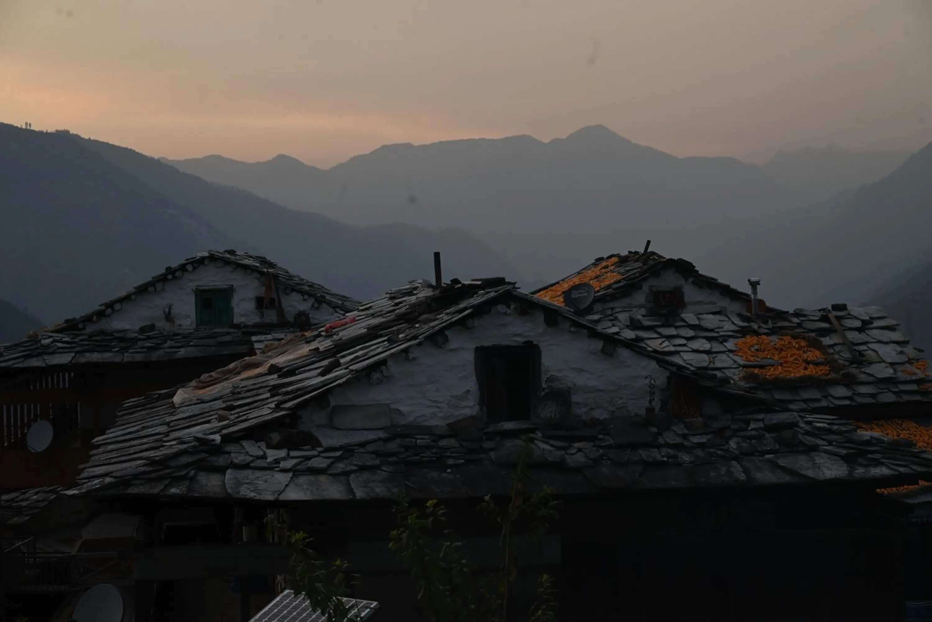 Natural landscape in MOZO Inn&Cafe Jibhi