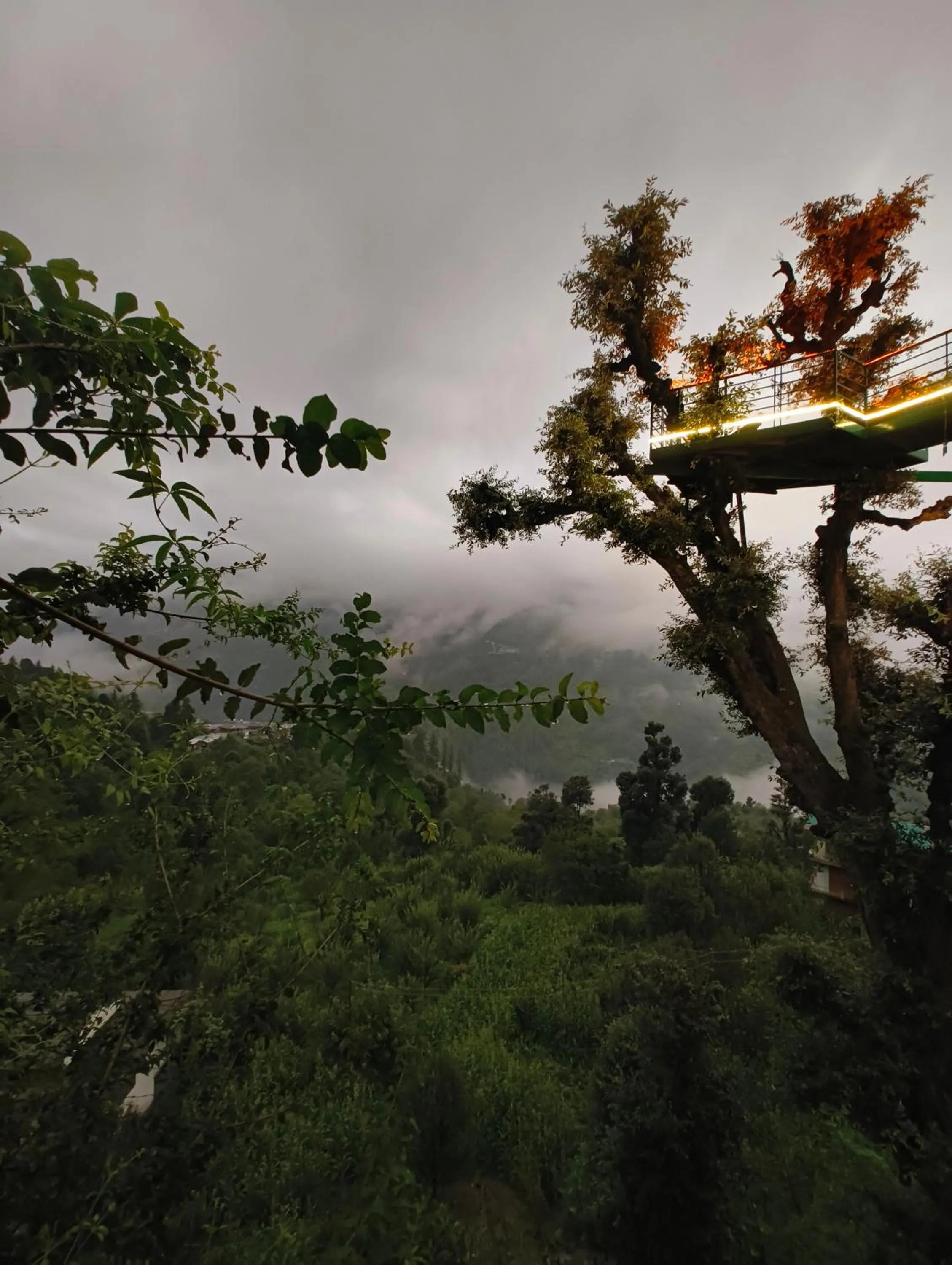 Seating area in MOZO Inn&Cafe Jibhi
