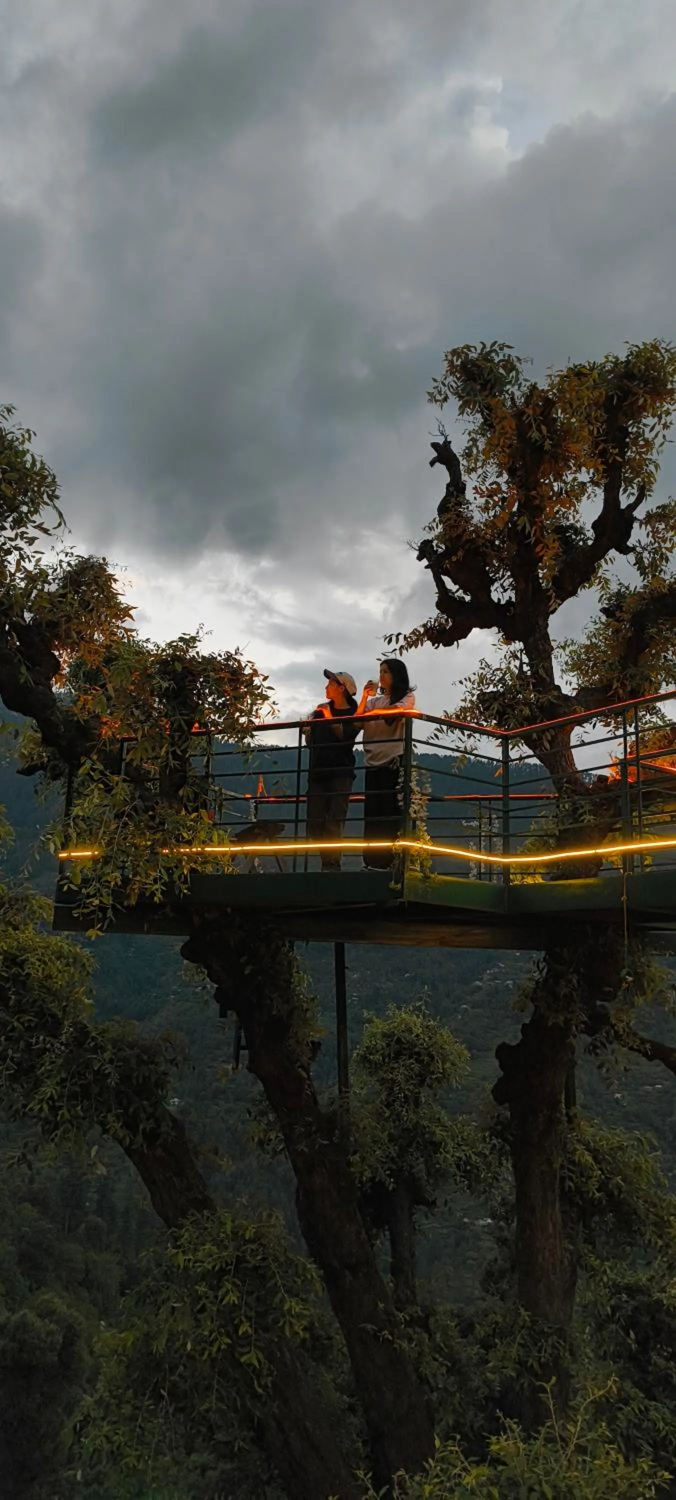 Seating area in MOZO Inn&Cafe Jibhi
