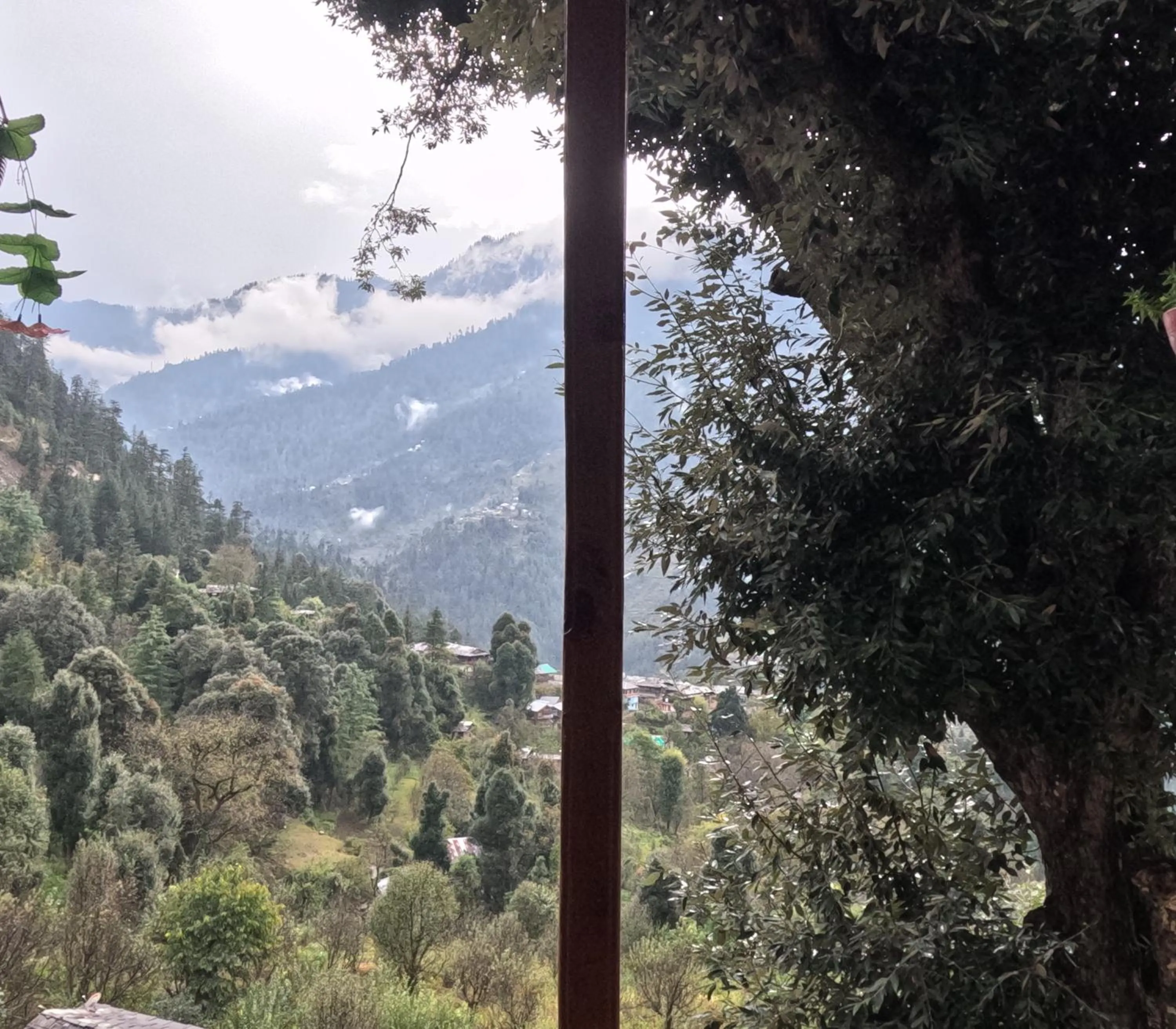 Restaurant/places to eat in MOZO Inn&Cafe Jibhi