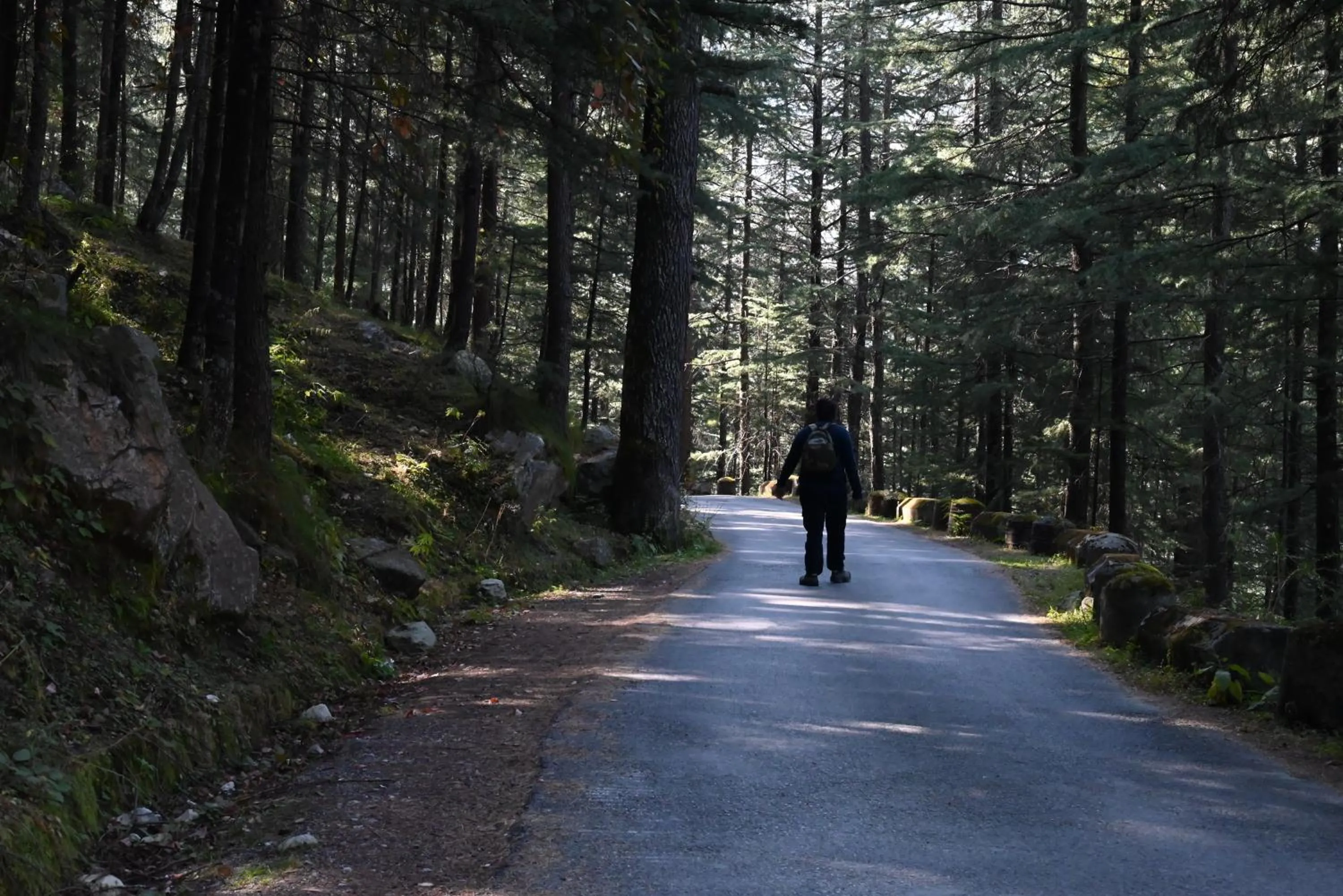 People in MOZO Inn&Cafe Jibhi