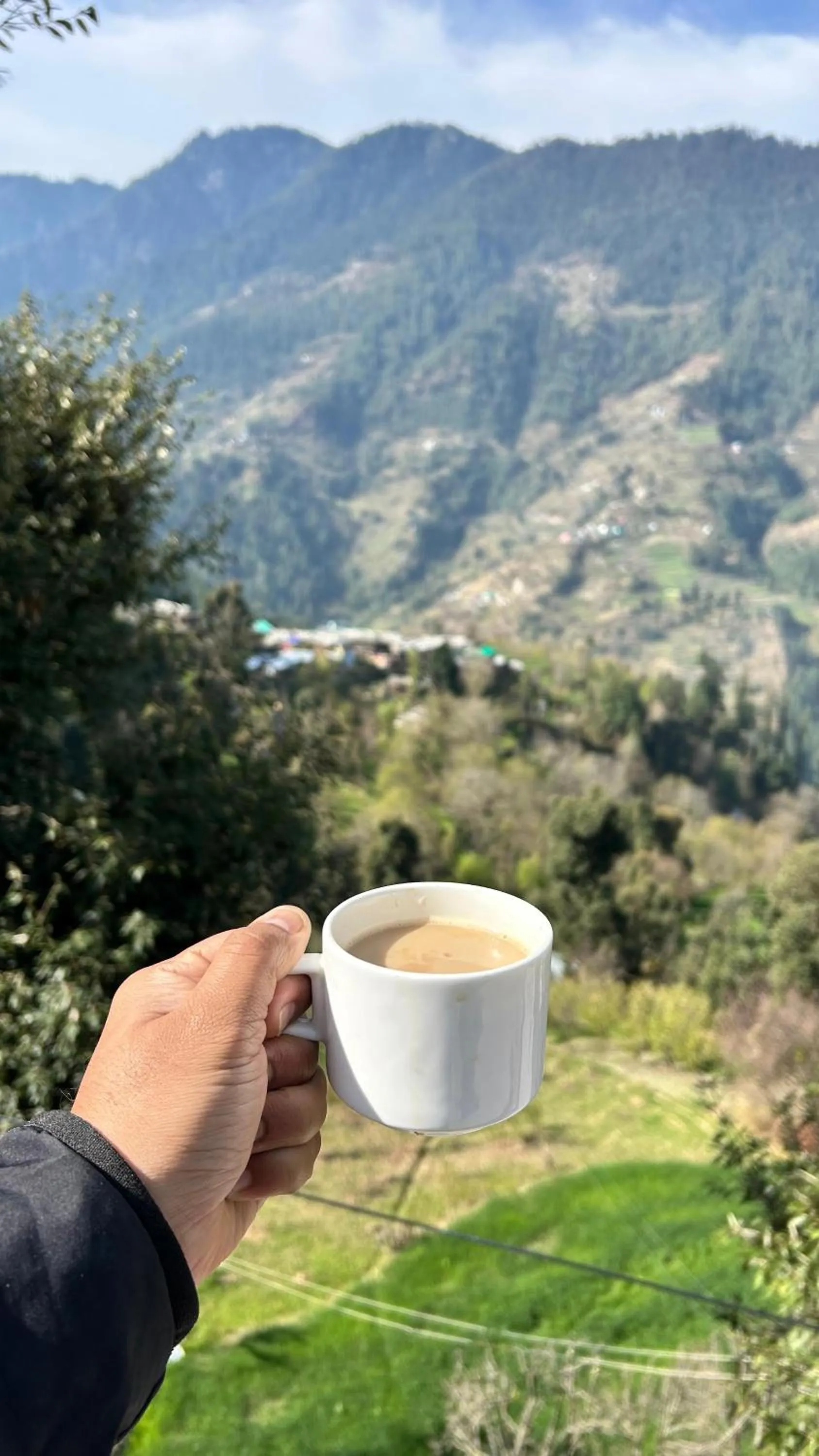 Restaurant/places to eat in MOZO Inn&Cafe Jibhi