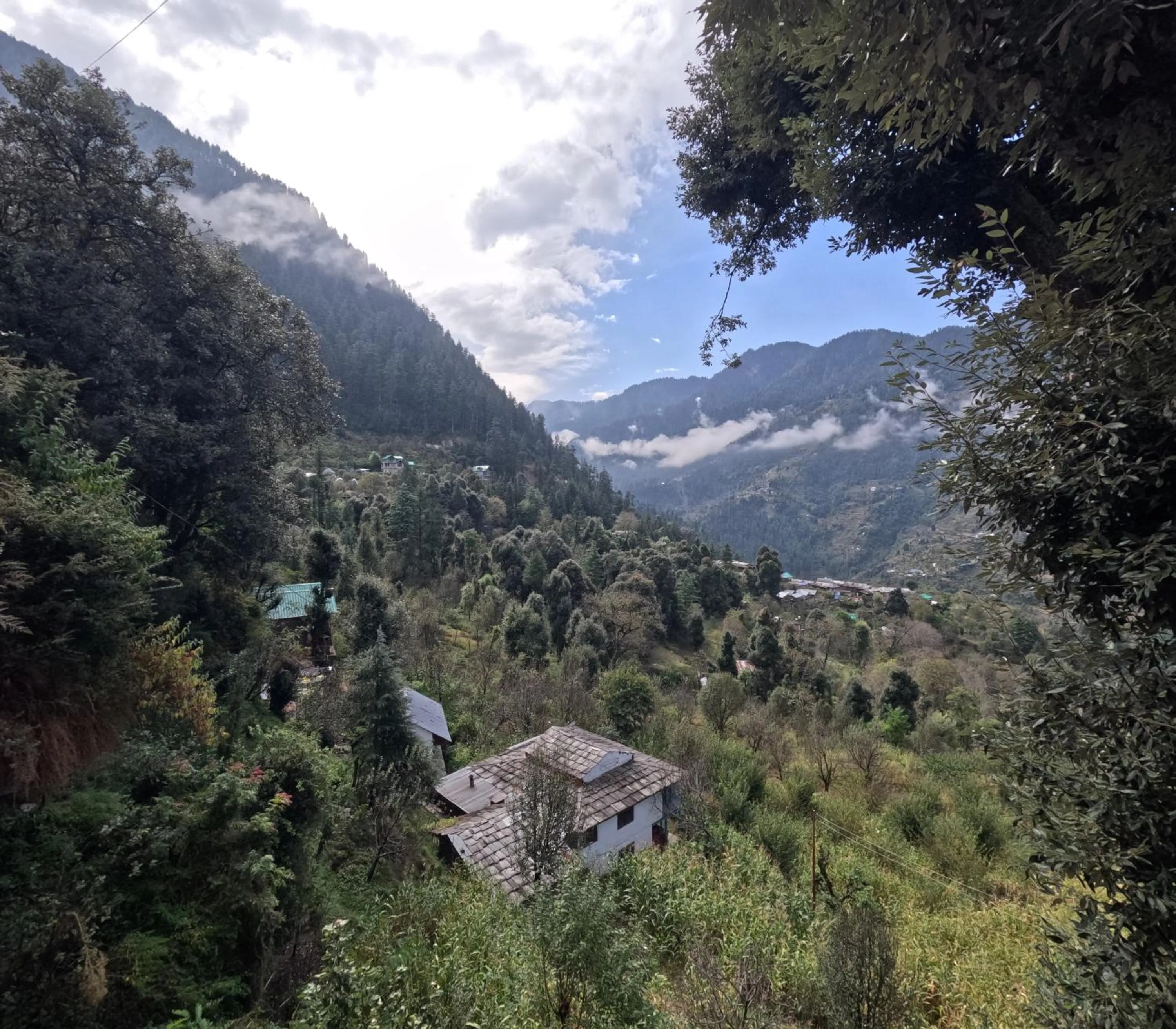 Restaurant/places to eat in MOZO Inn&Cafe Jibhi