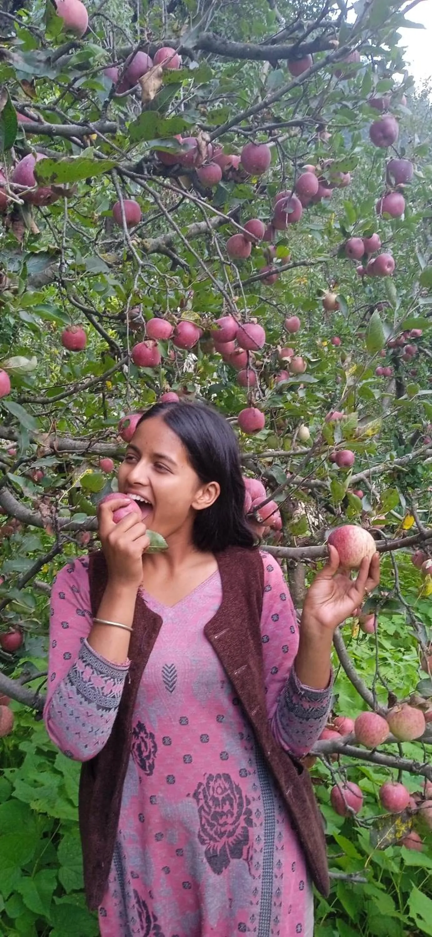 Garden in MOZO Inn&Cafe Jibhi