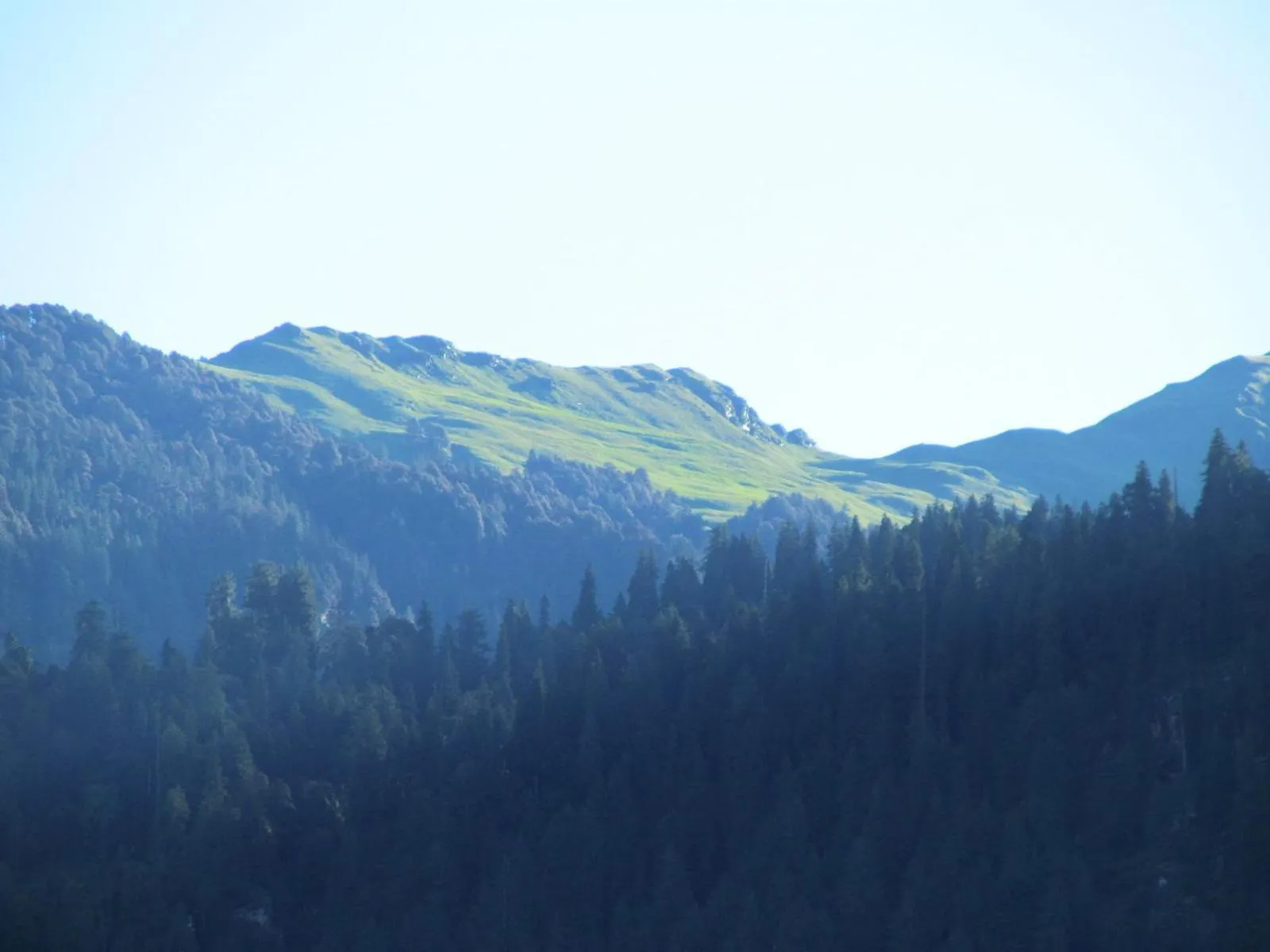 Natural landscape in MOZO Inn&Cafe Jibhi