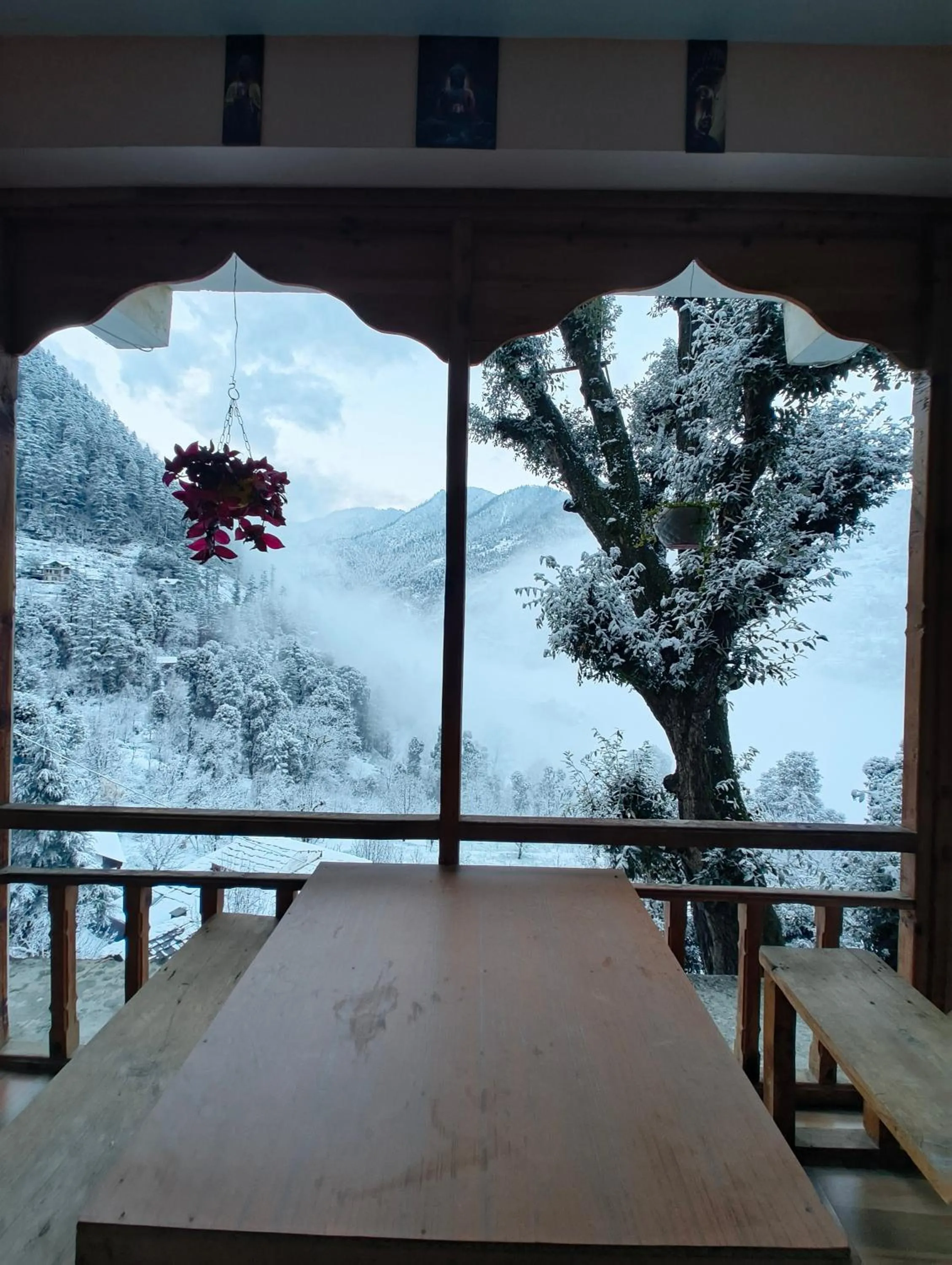 Restaurant/places to eat in MOZO Inn&Cafe Jibhi