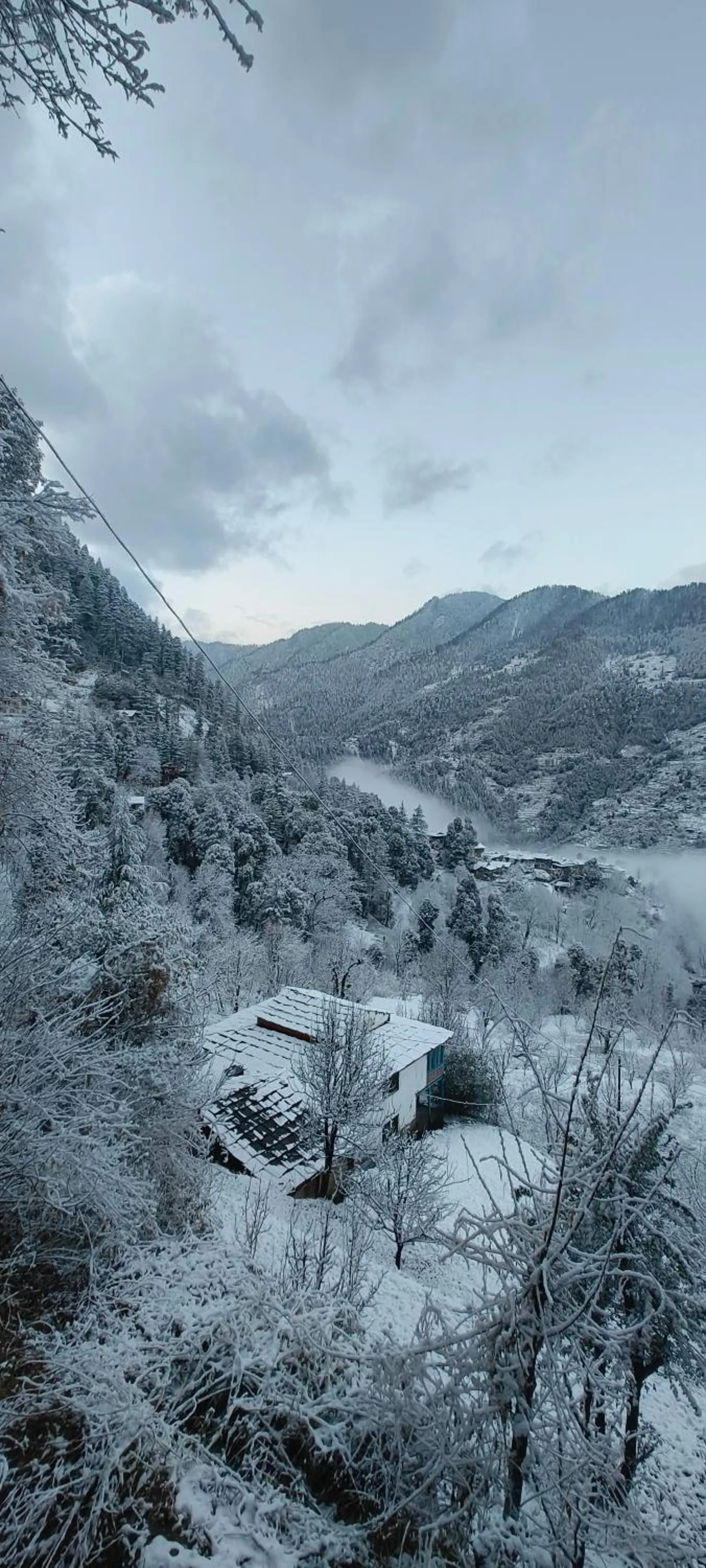 View (from property/room) in MOZO Inn&Cafe Jibhi