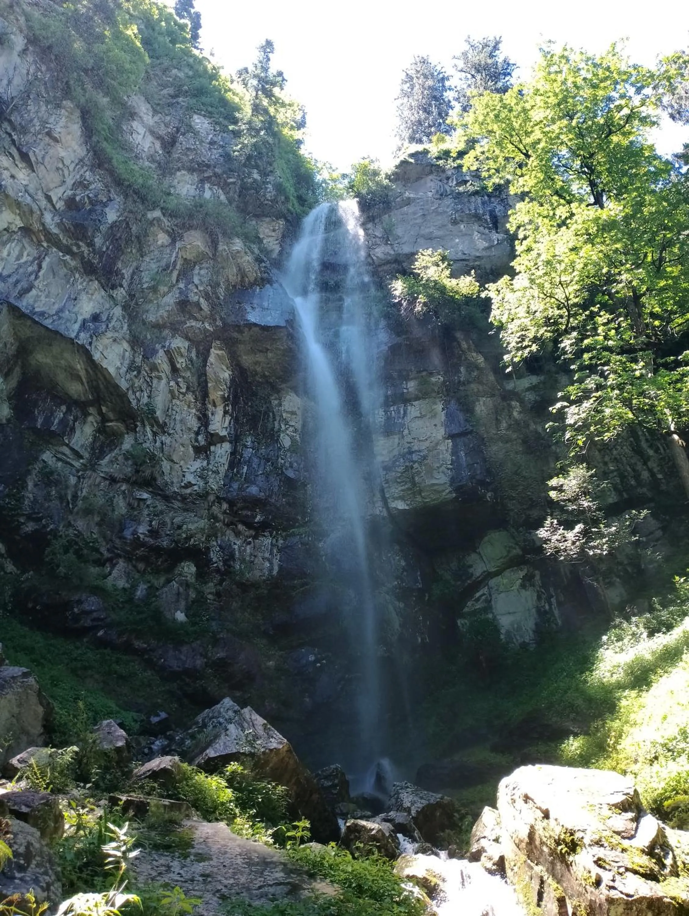 Natural landscape in MOZO Inn&Cafe Jibhi