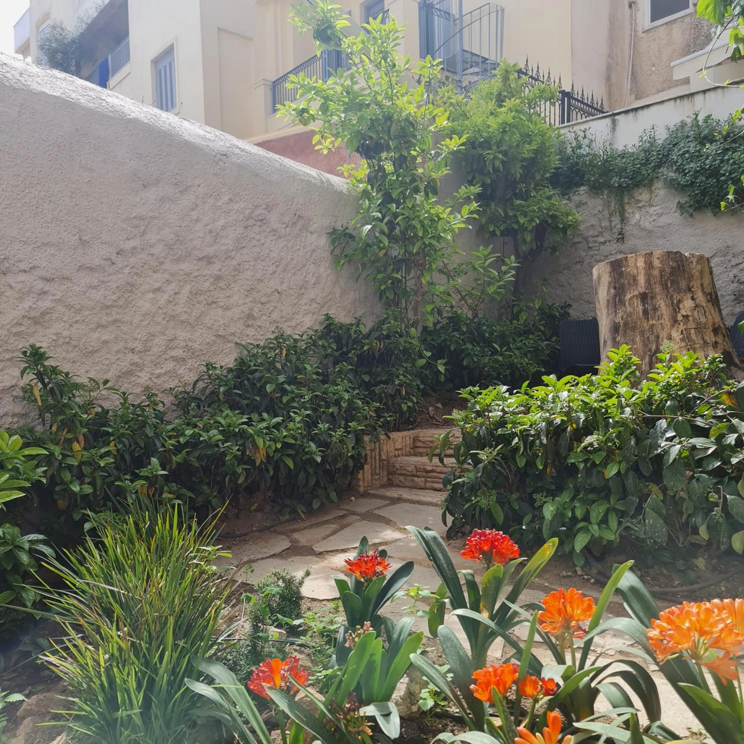 Garden in Cityzoe Athens Suites