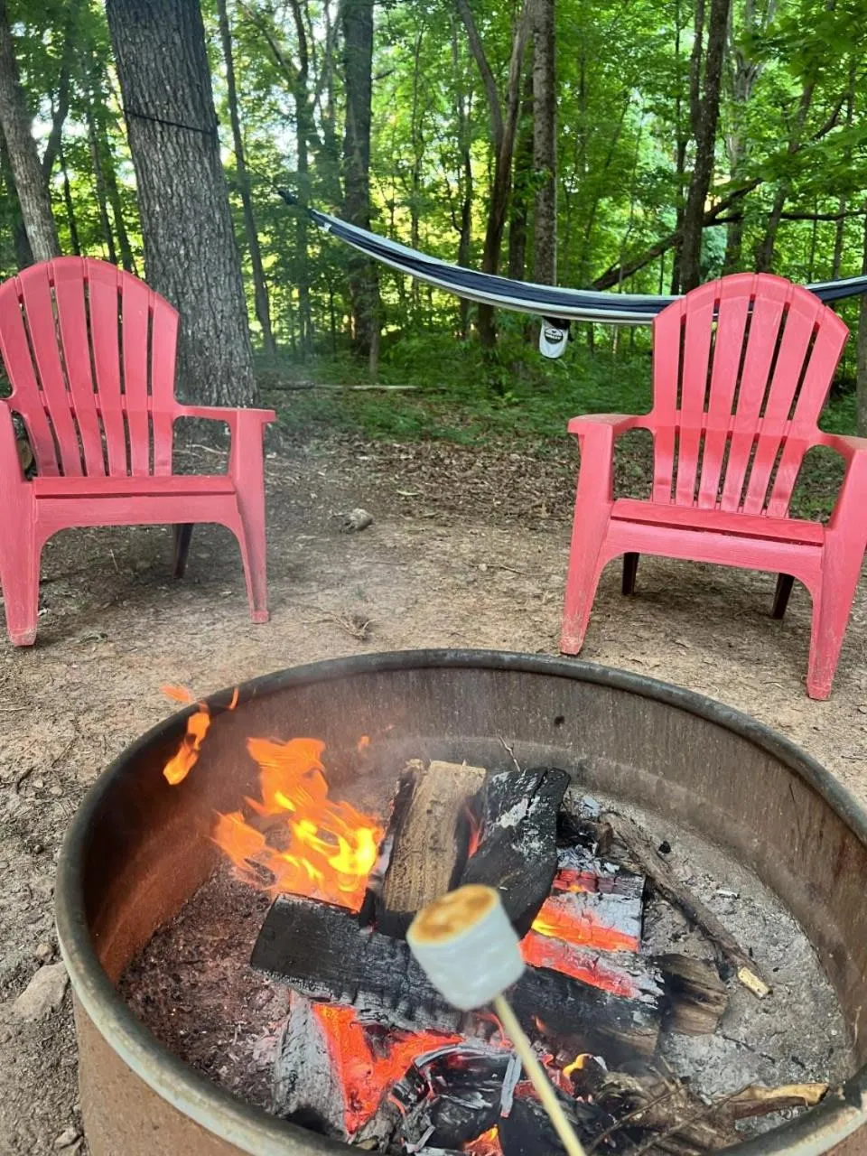 Less than 3 miles to Downtown with firepit