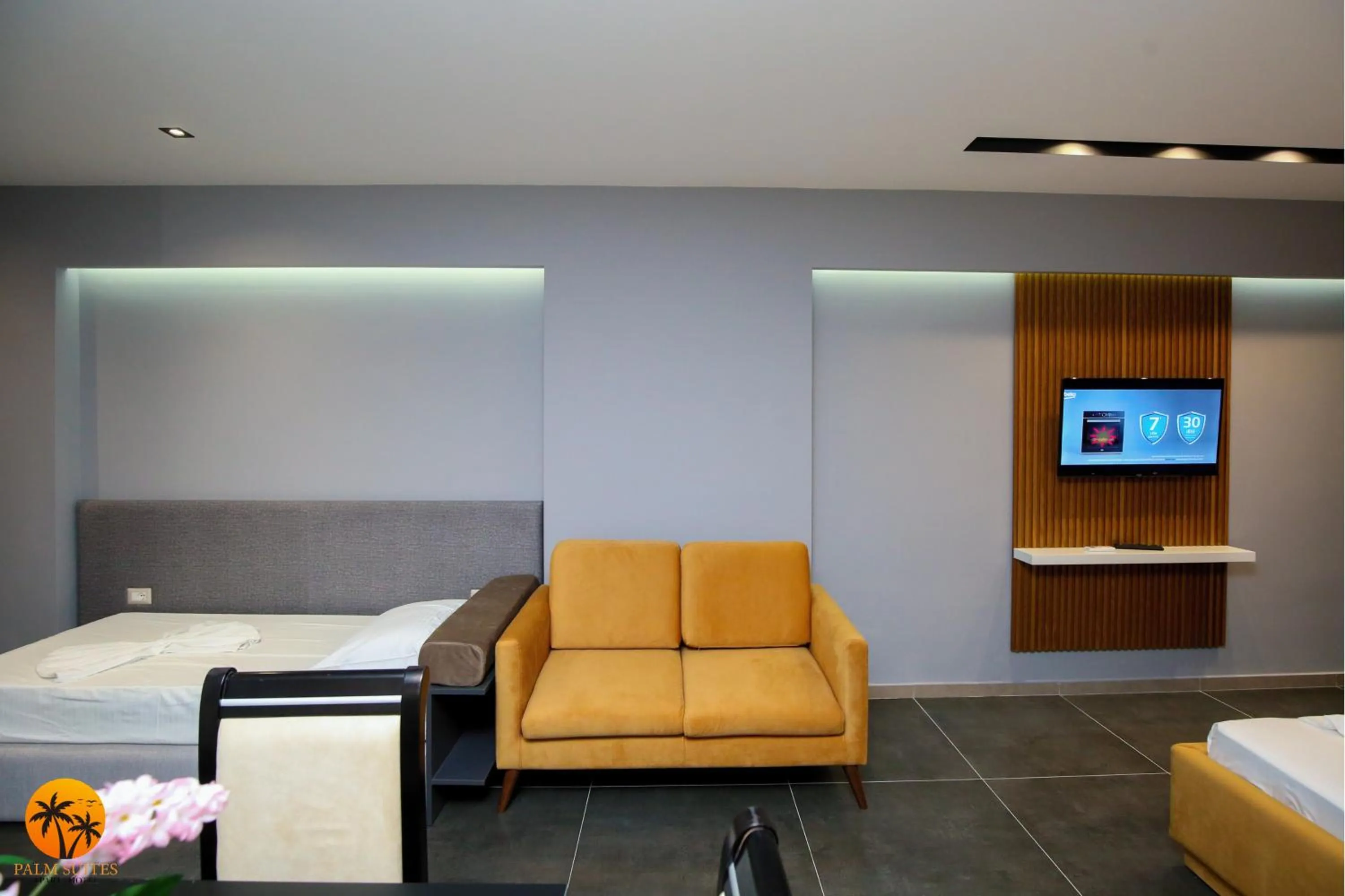 TV and multimedia in Palm Suites Apartment-Suite