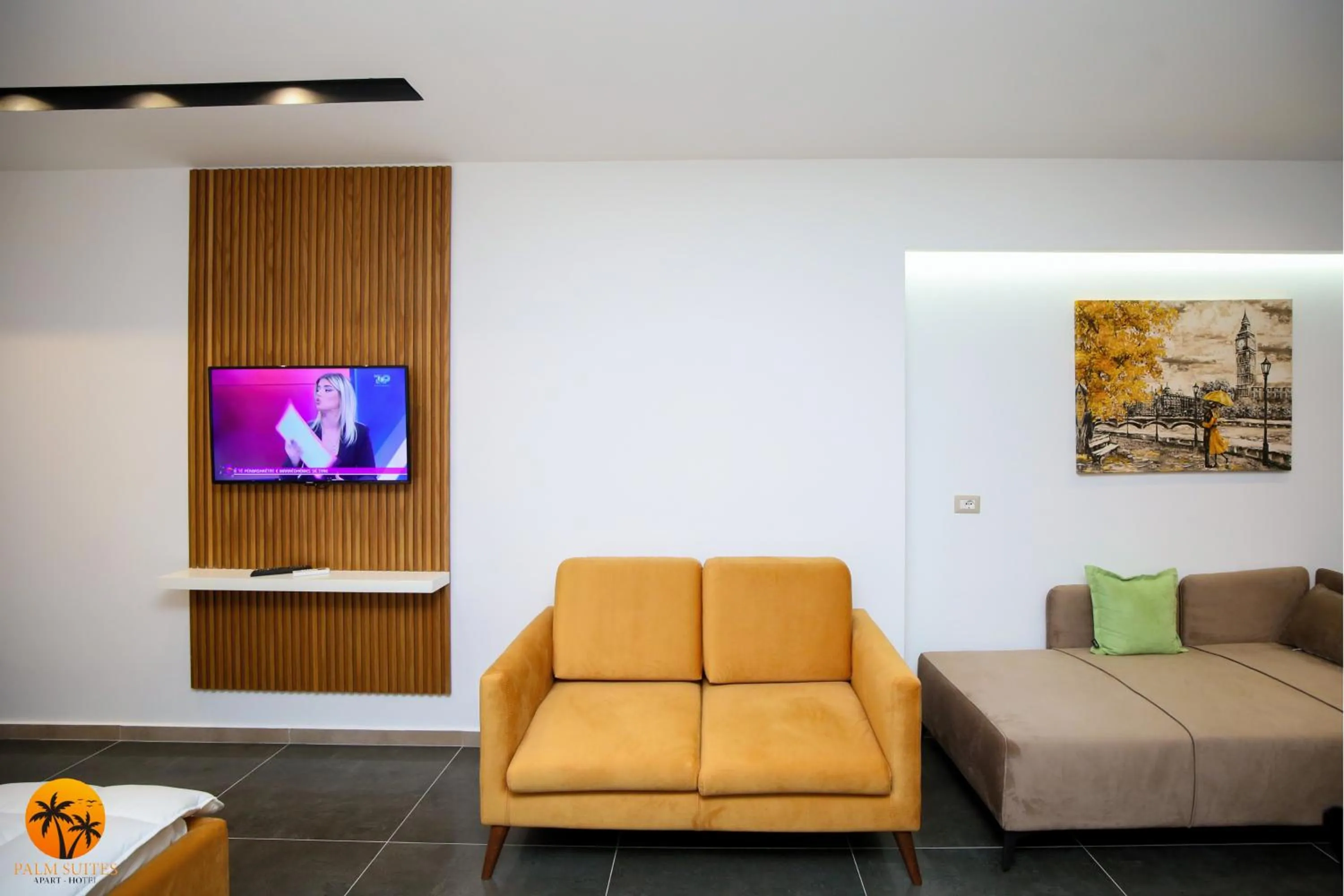TV and multimedia in Palm Suites Apartment-Suite