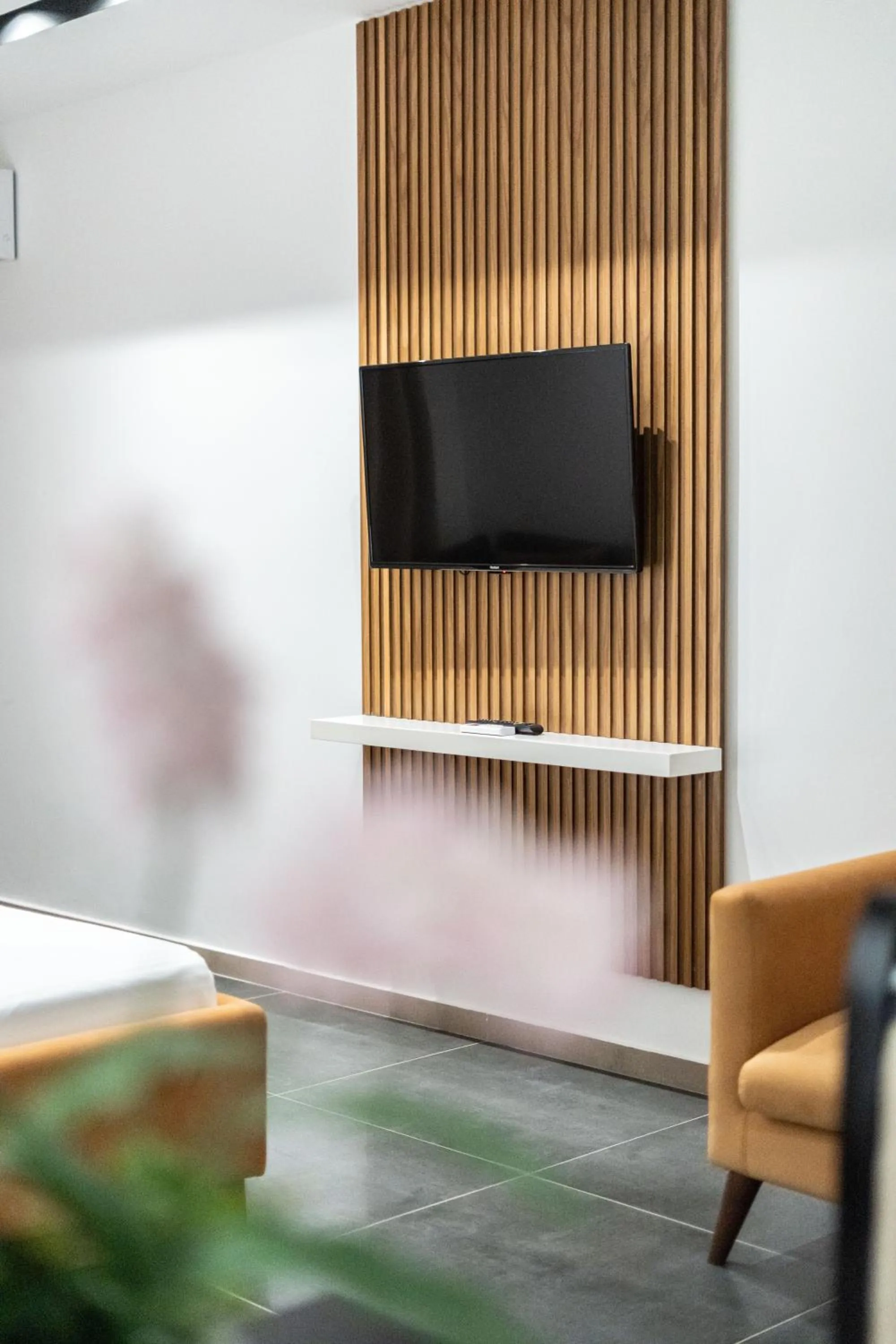 TV and multimedia in Palm Suites Apartment-Suite