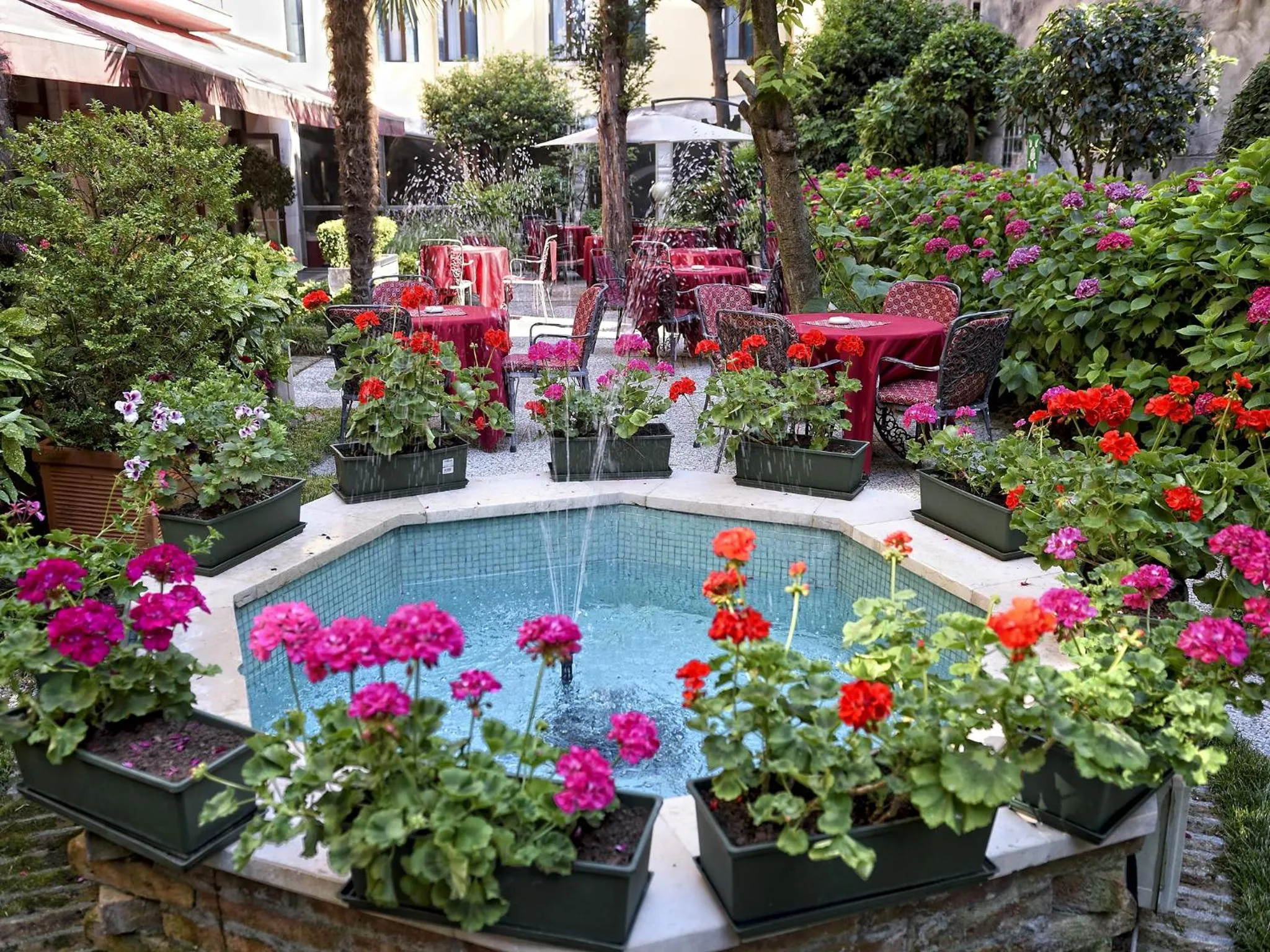 Garden in Hotel Amadeus