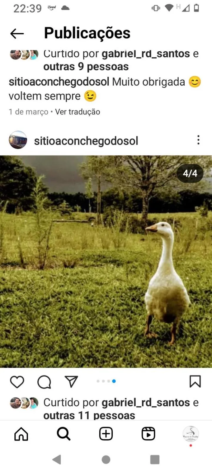 Balcony/Terrace in RECANTO DO SINALEIRO GRAMADO
