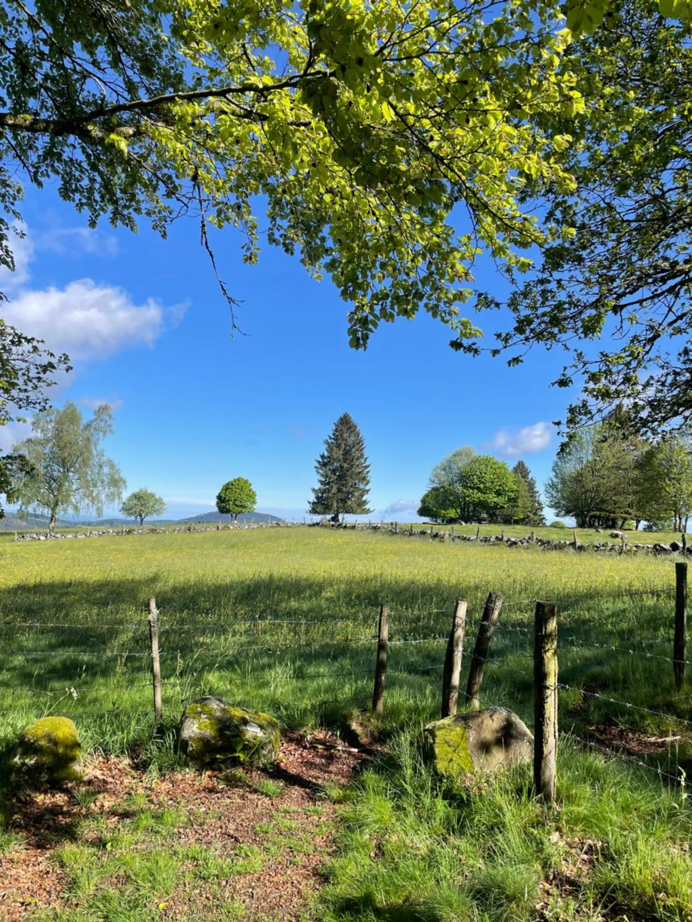 Natural landscape in Le gîte cozy de Bouvacôte avec vue panoramique et Sauna