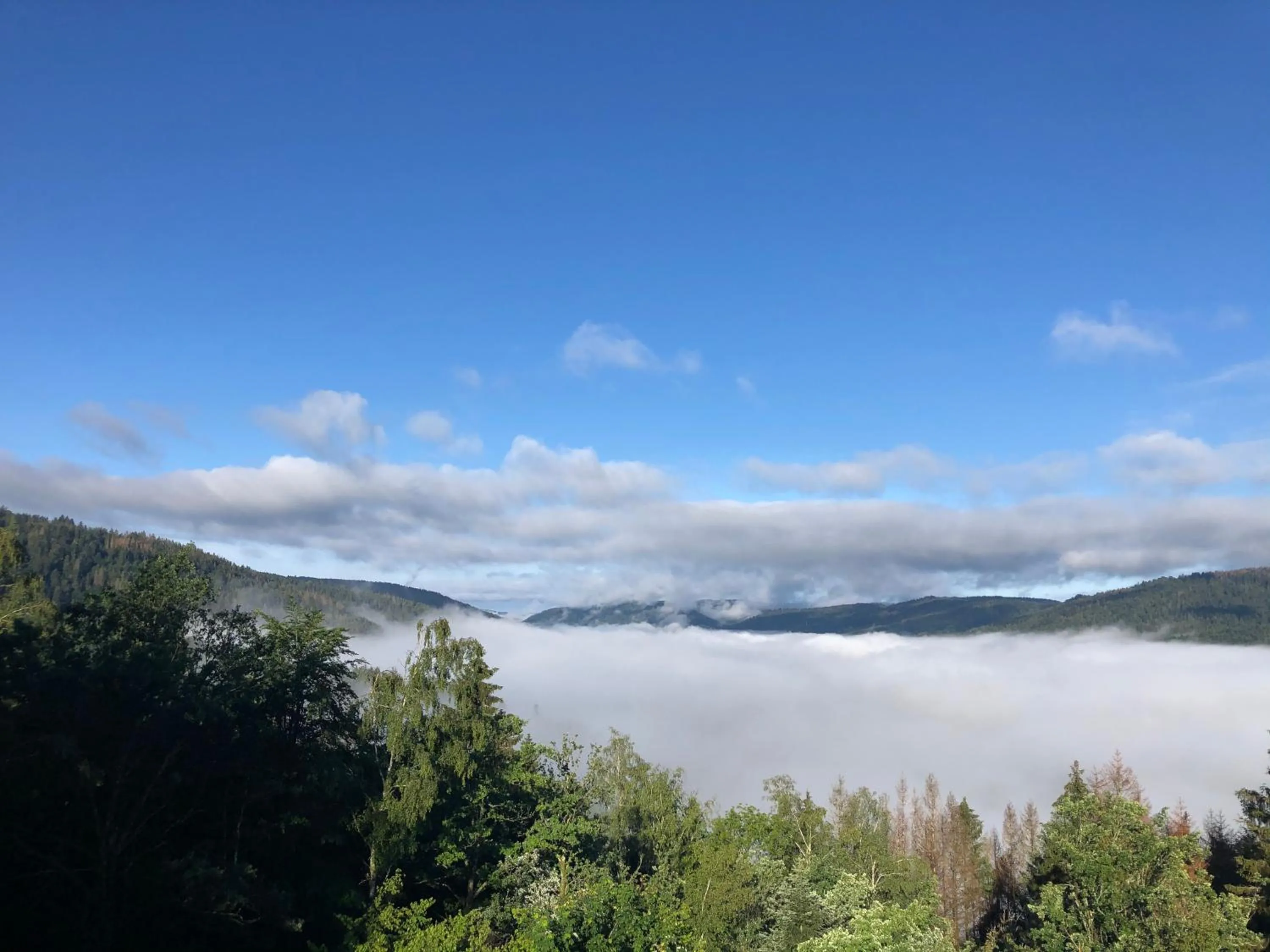 Natural landscape in Le gîte cozy de Bouvacôte avec vue panoramique et Sauna