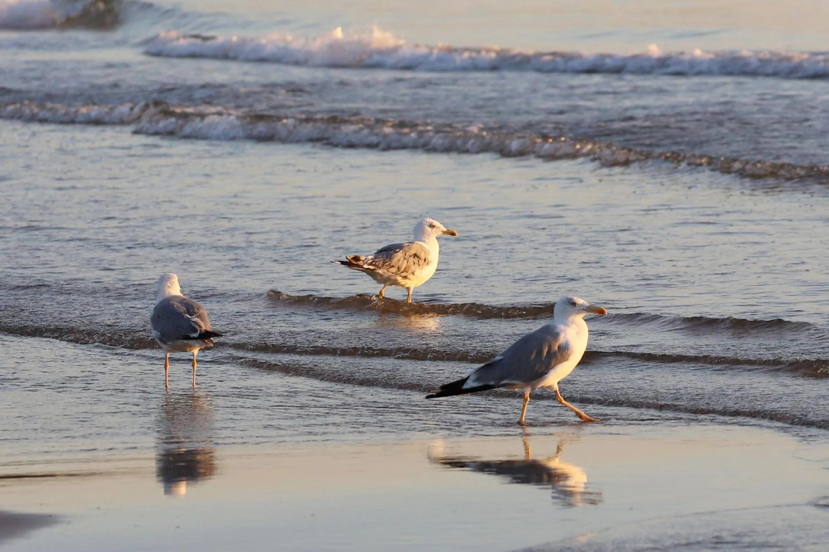 Natural landscape in Hotel Portonuovo