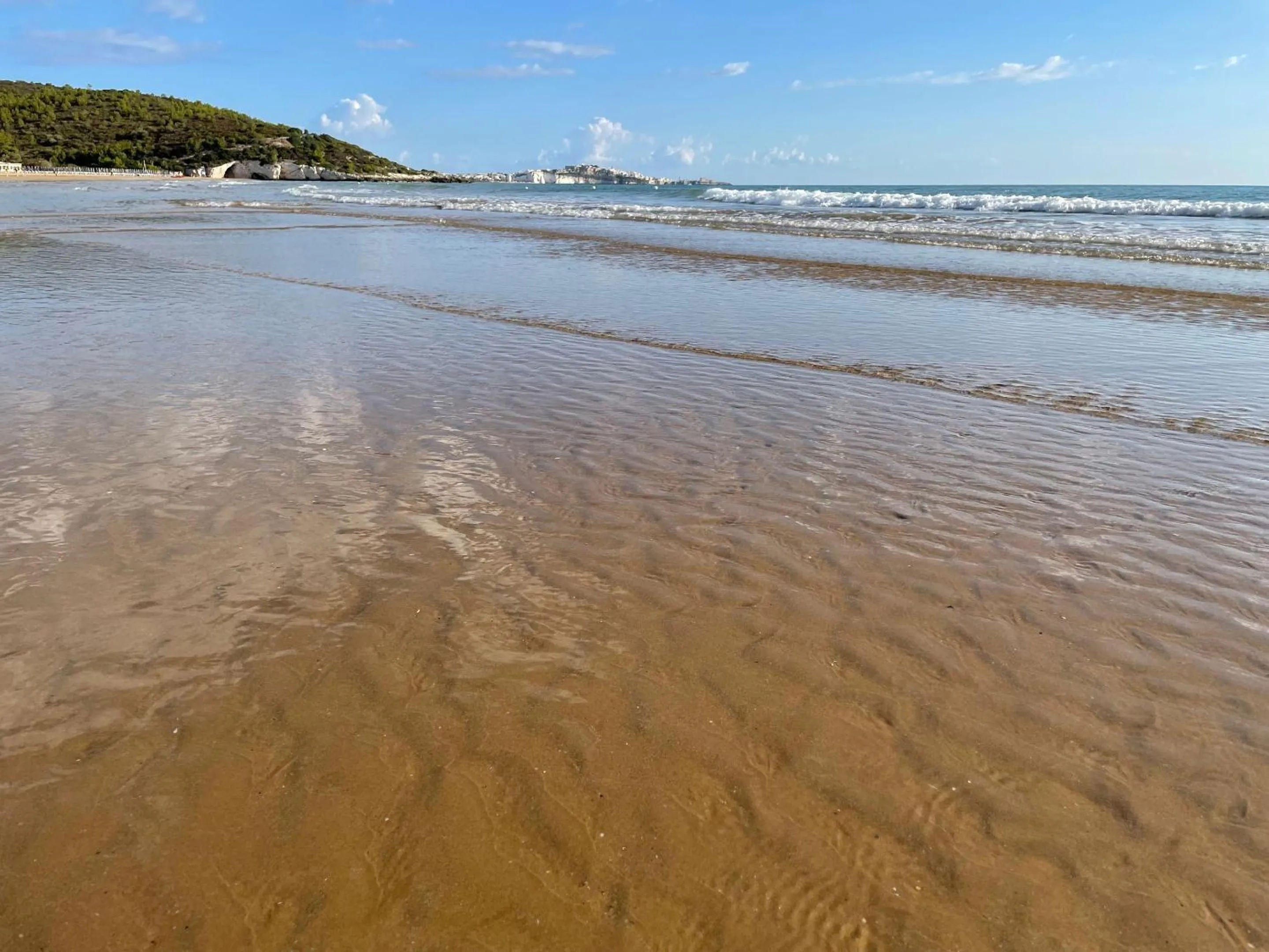 Day in Hotel Portonuovo