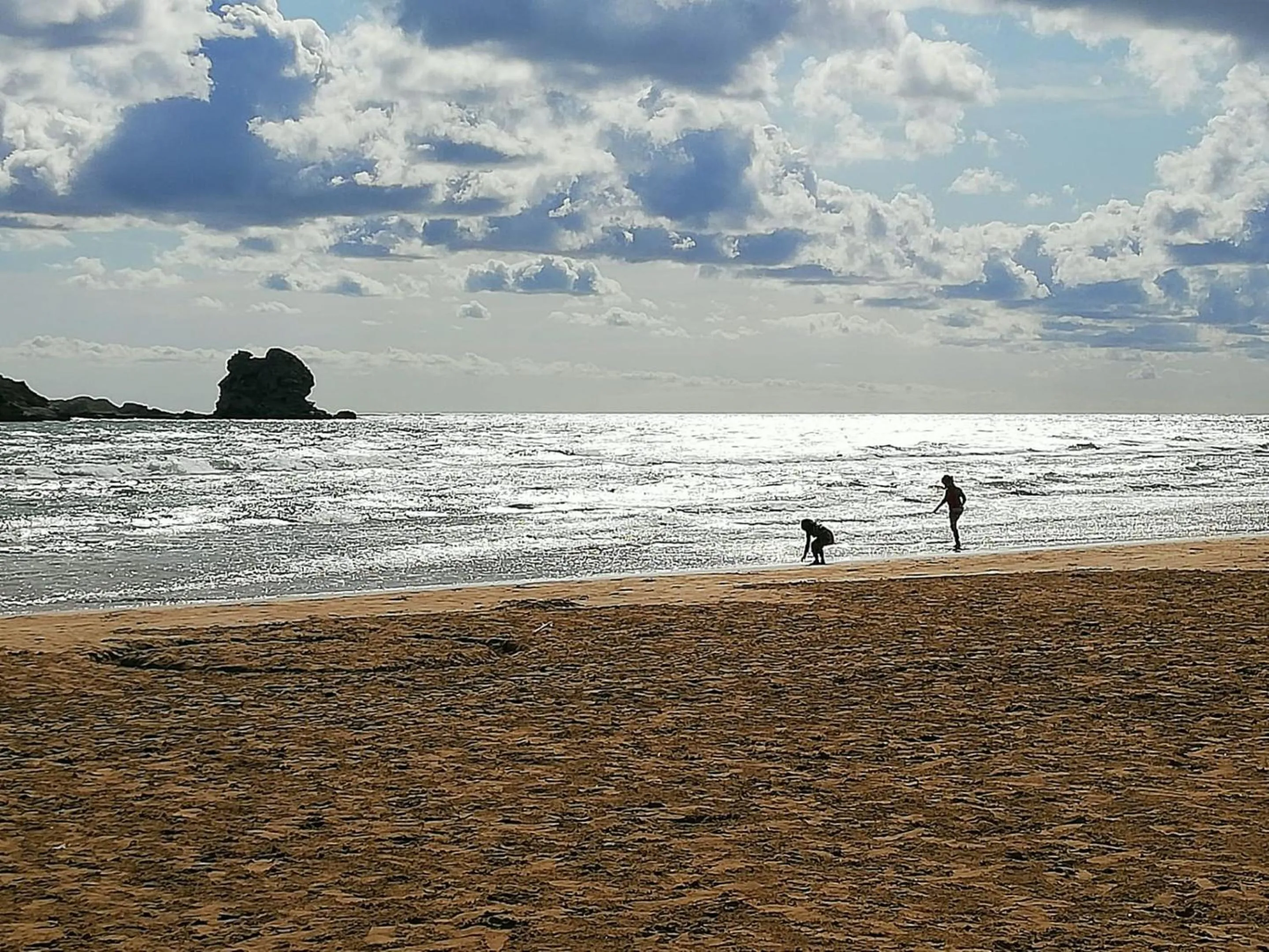 Natural landscape in Hotel Portonuovo