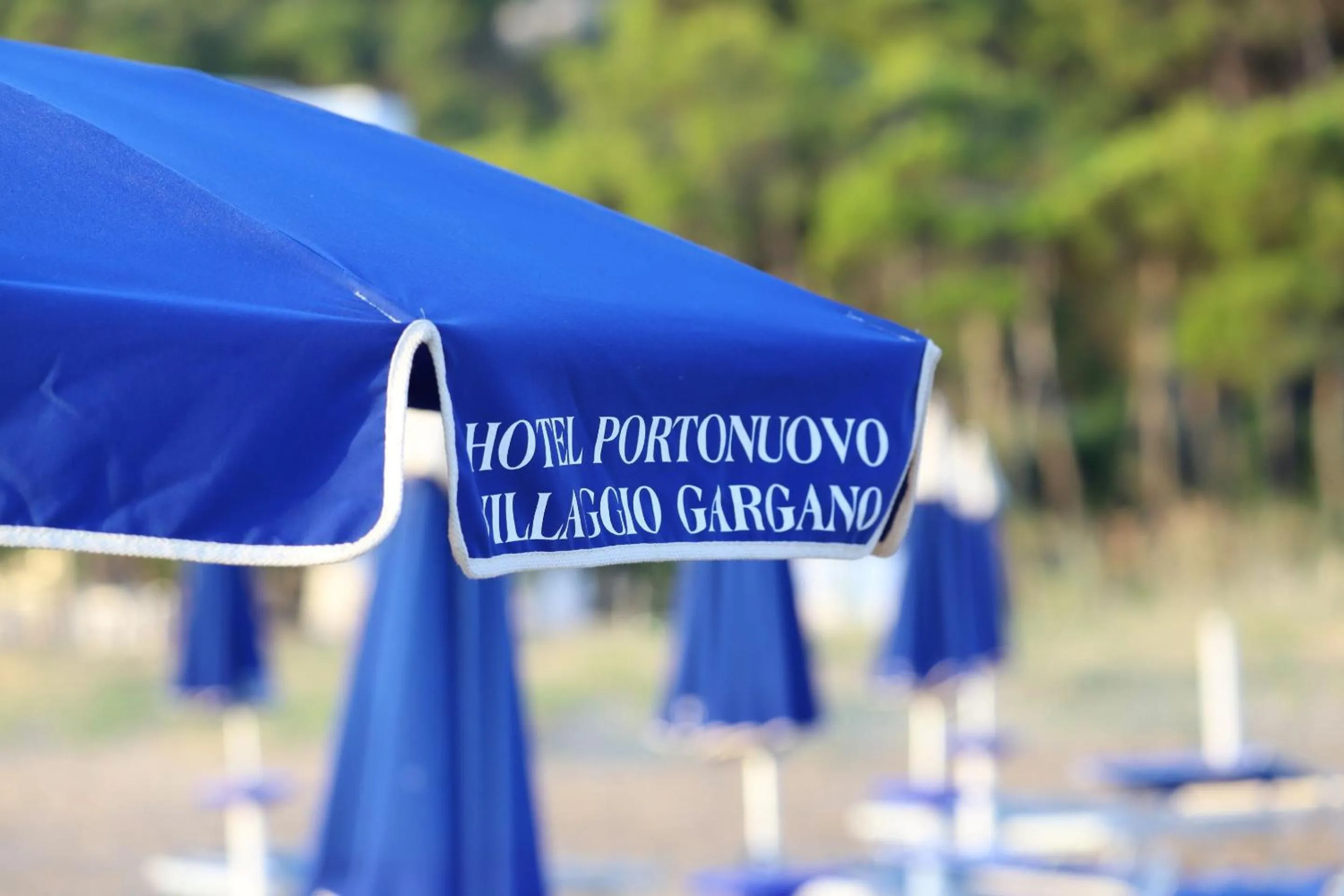 Day in Hotel Portonuovo