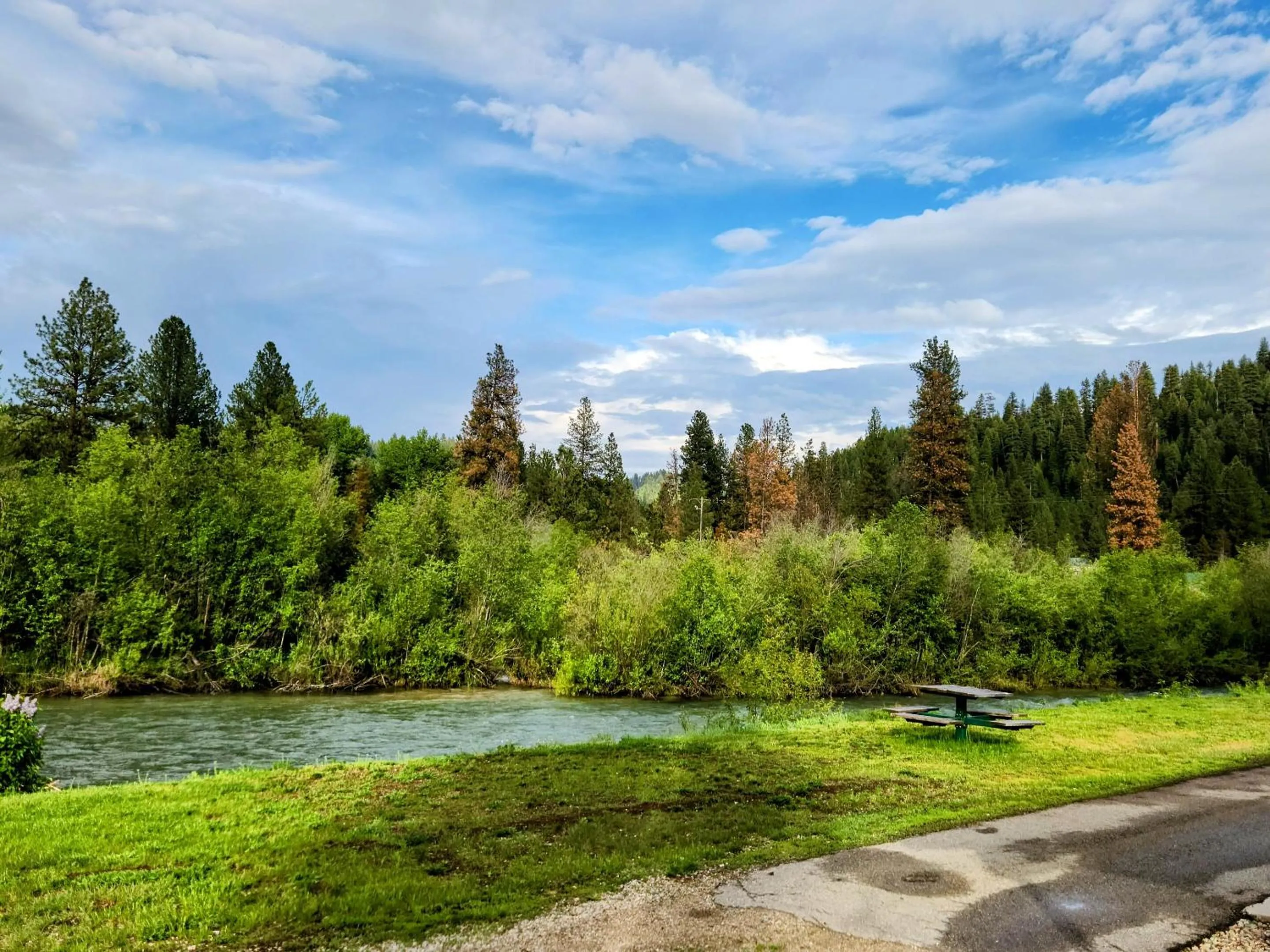 Natural landscape in Southfork Lodge - Riverside Inn