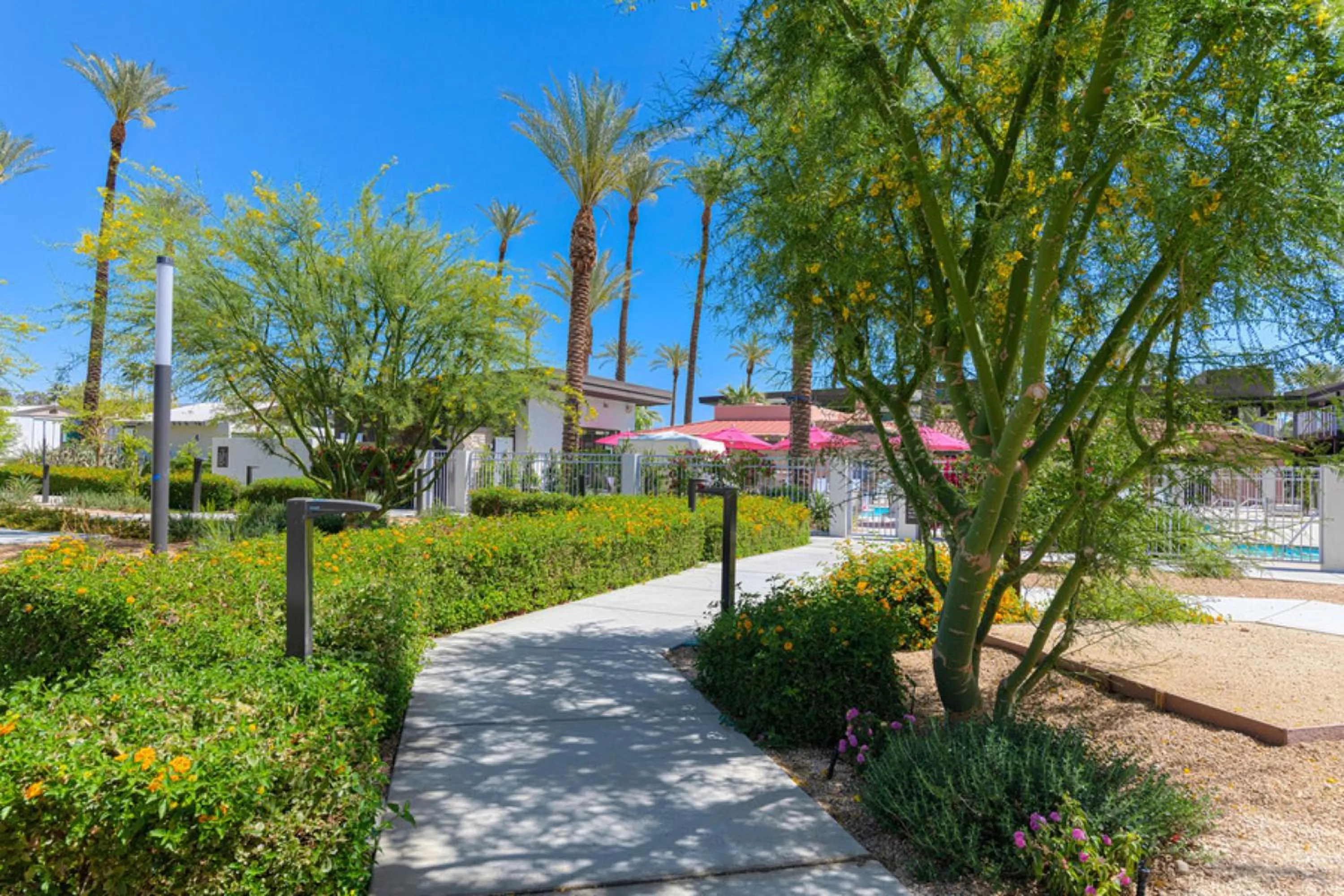 Garden in The Paloma Resort