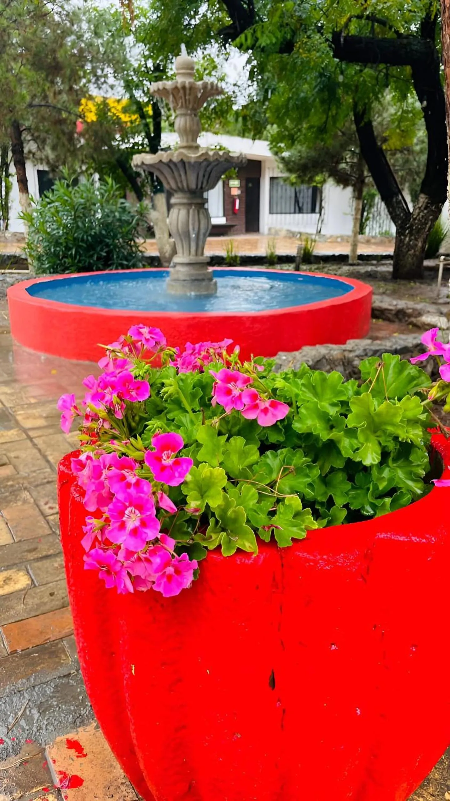 Garden in Hotel La Fuente, Saltillo
