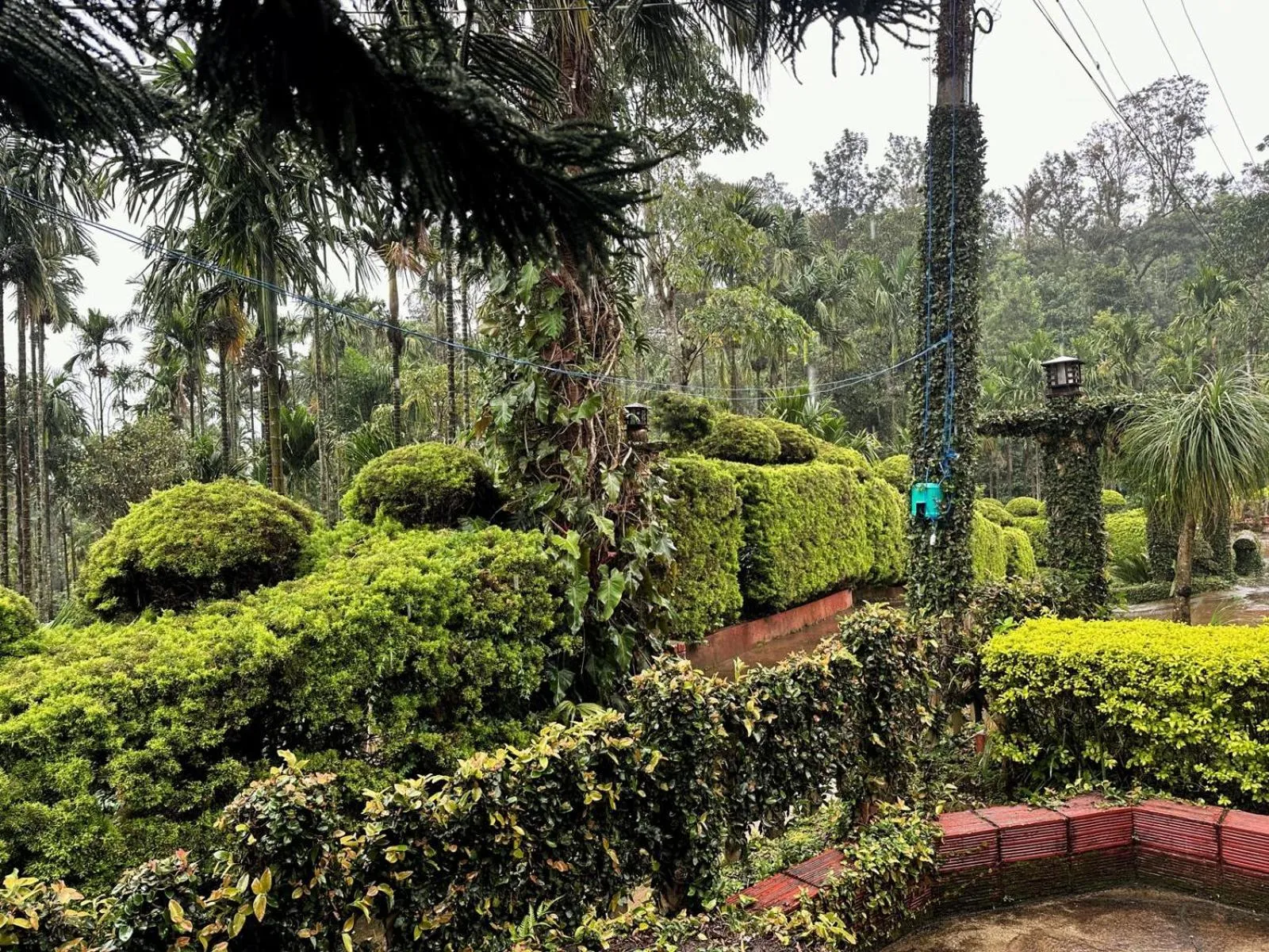 Garden view in Oxyzone Coorg by StayApart
