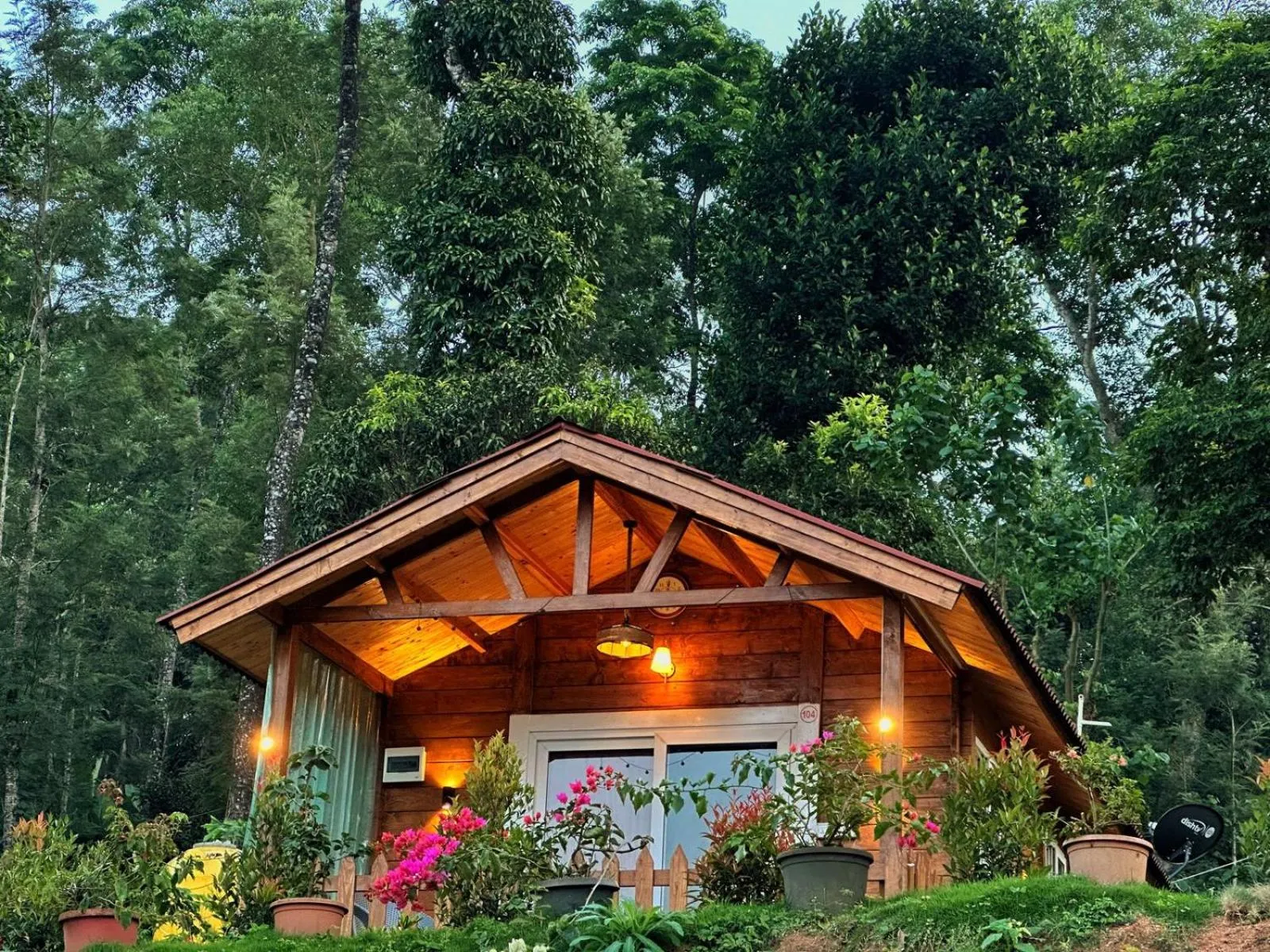 Natural landscape in Oxyzone Coorg by StayApart