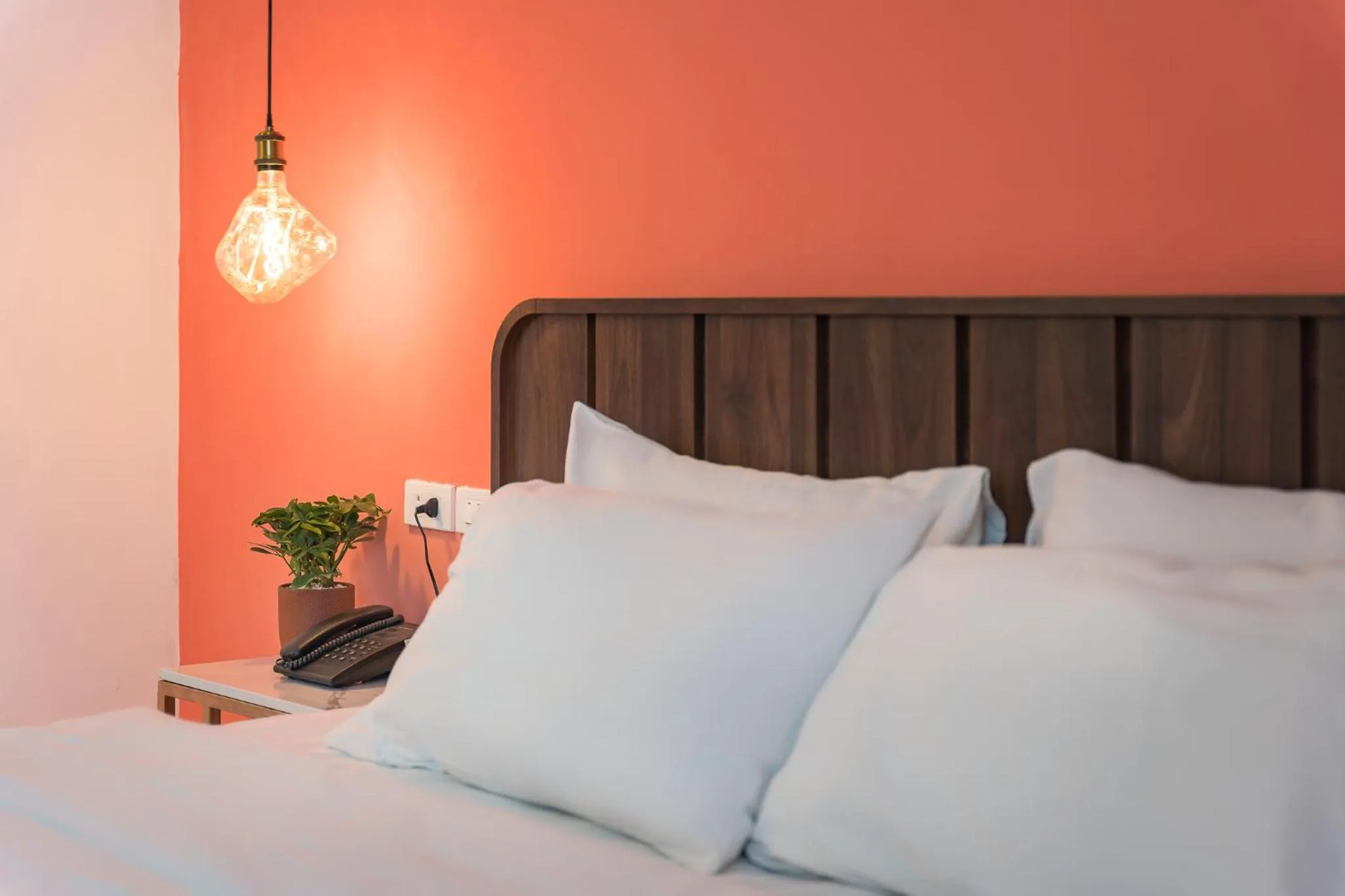 C o r o n a Hanoi House