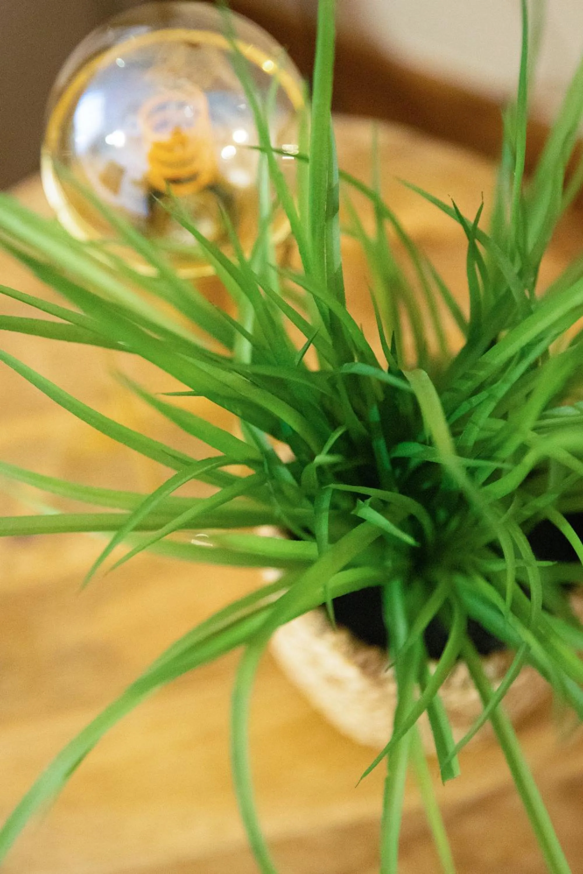 Decorative detail in Quisì - Salerno Centro