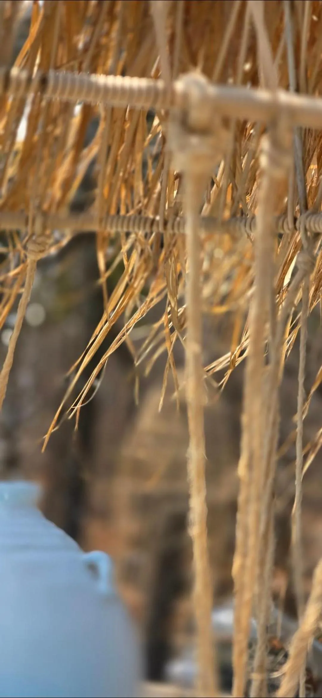 Natural landscape in African Flair Boutique Safari Lodge