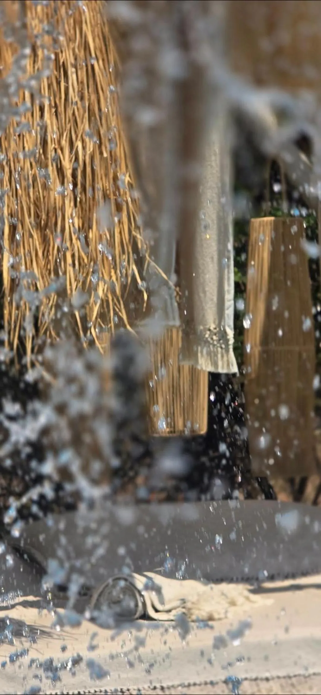 Day in African Flair Boutique Safari Lodge