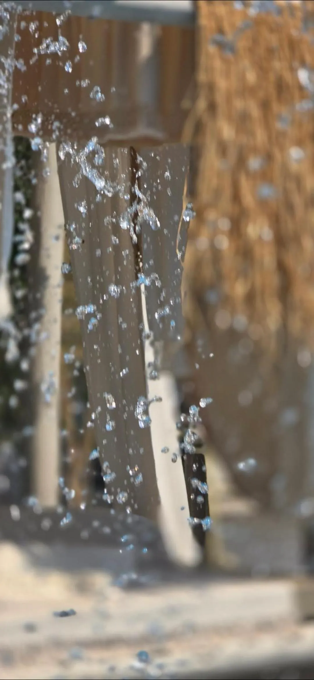 Day in African Flair Boutique Safari Lodge