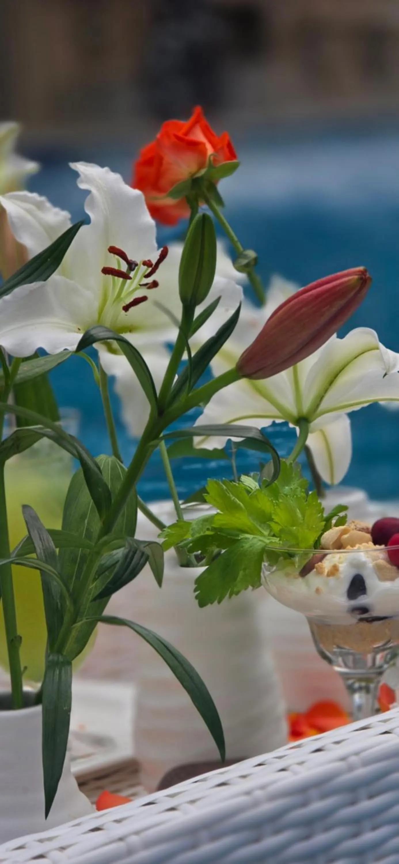 Breakfast in African Flair Boutique Safari Lodge