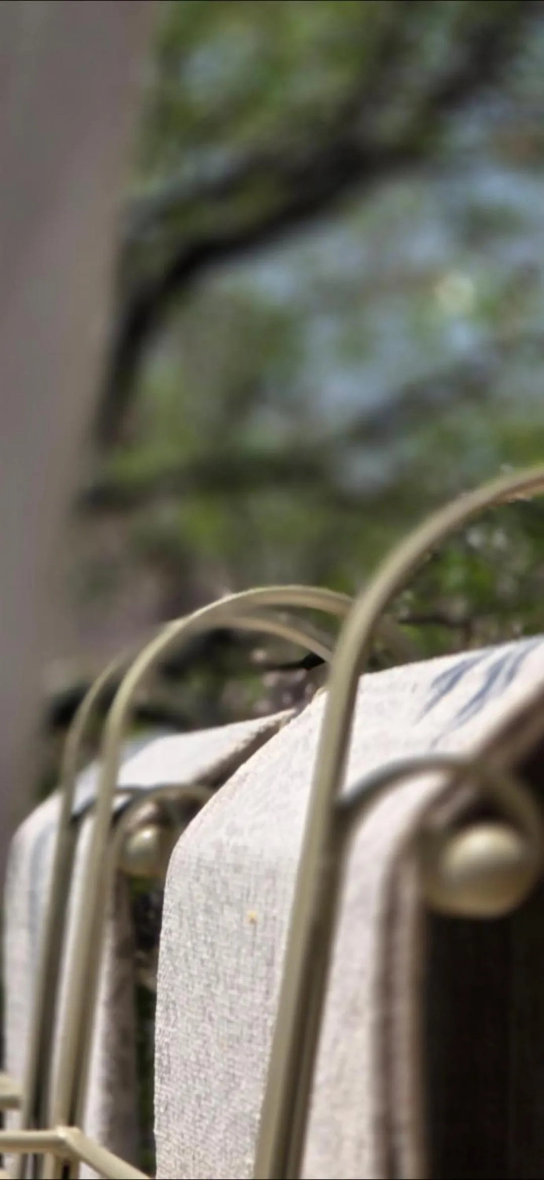 Pool view in African Flair Boutique Safari Lodge