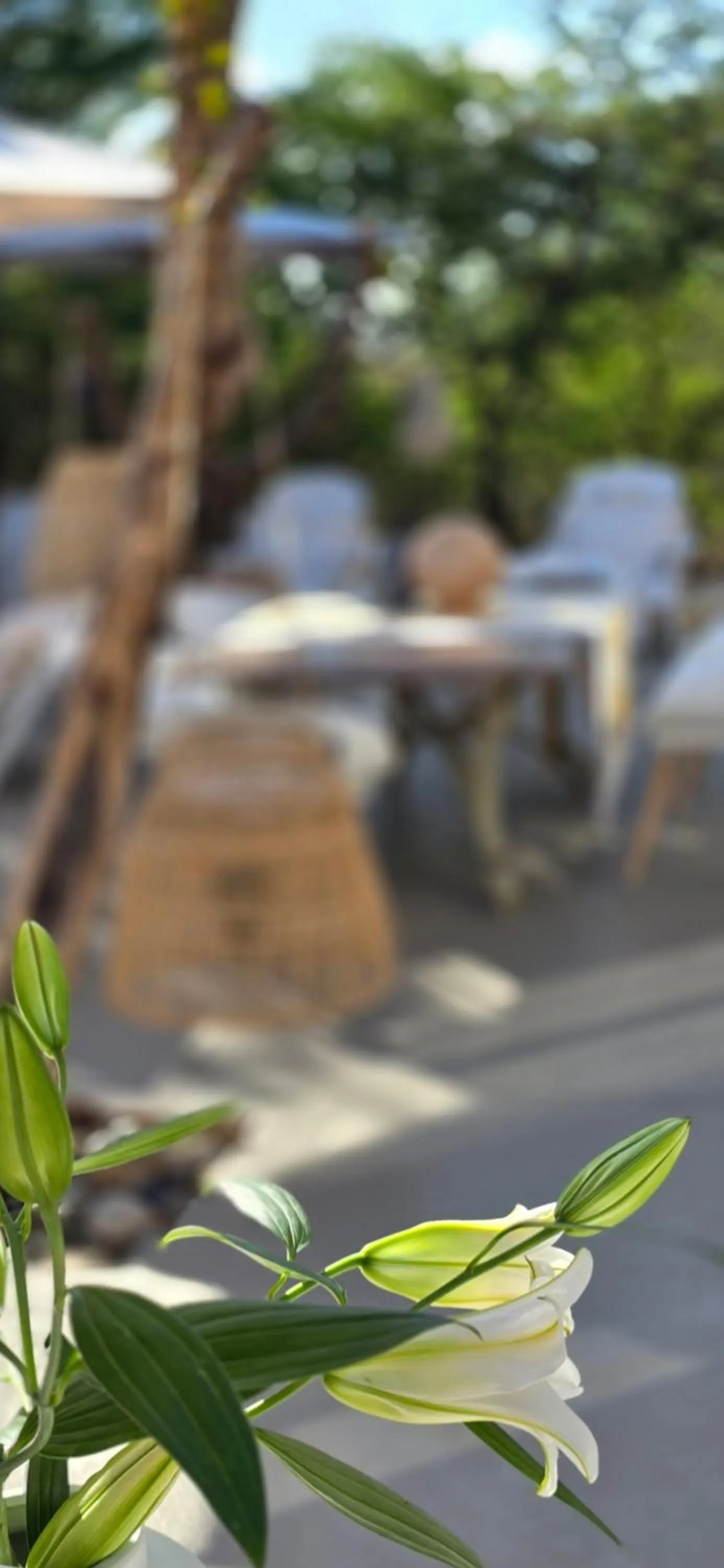 Dining area in African Flair Boutique Safari Lodge