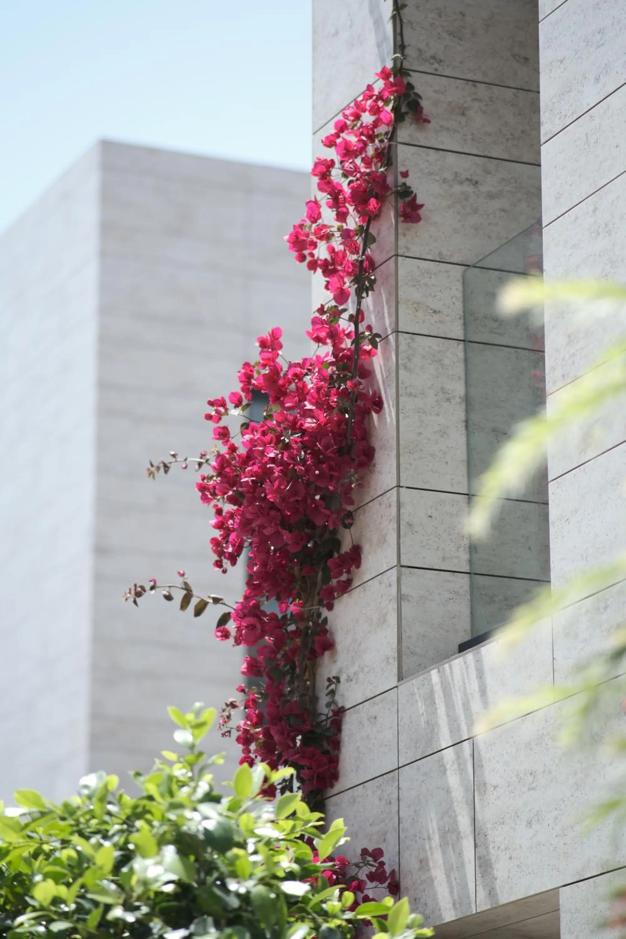 Property Building in Rammos Hotel Bodrum - Special Class