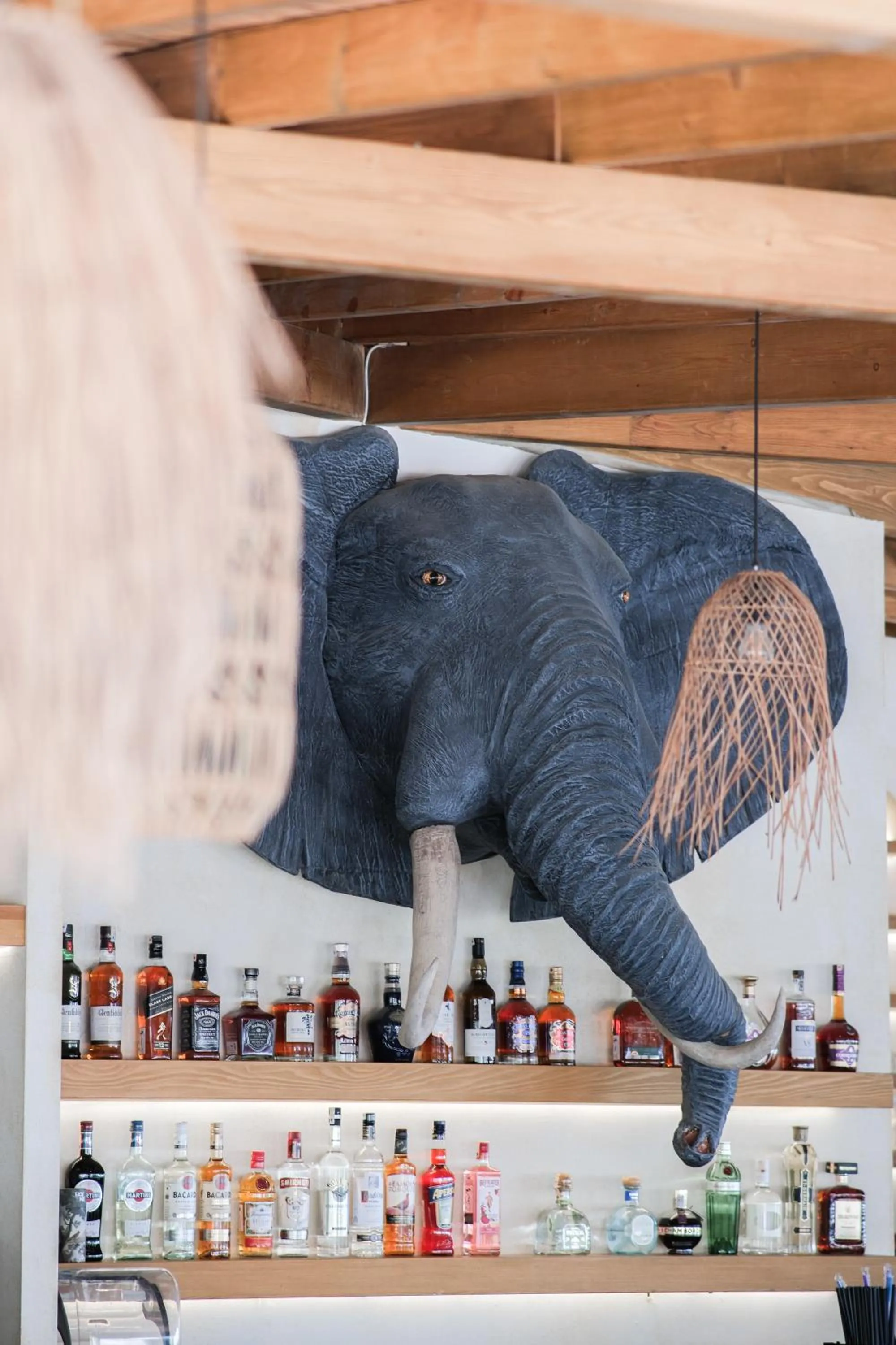 Restaurant/places to eat in Rammos Hotel Bodrum - Special Class