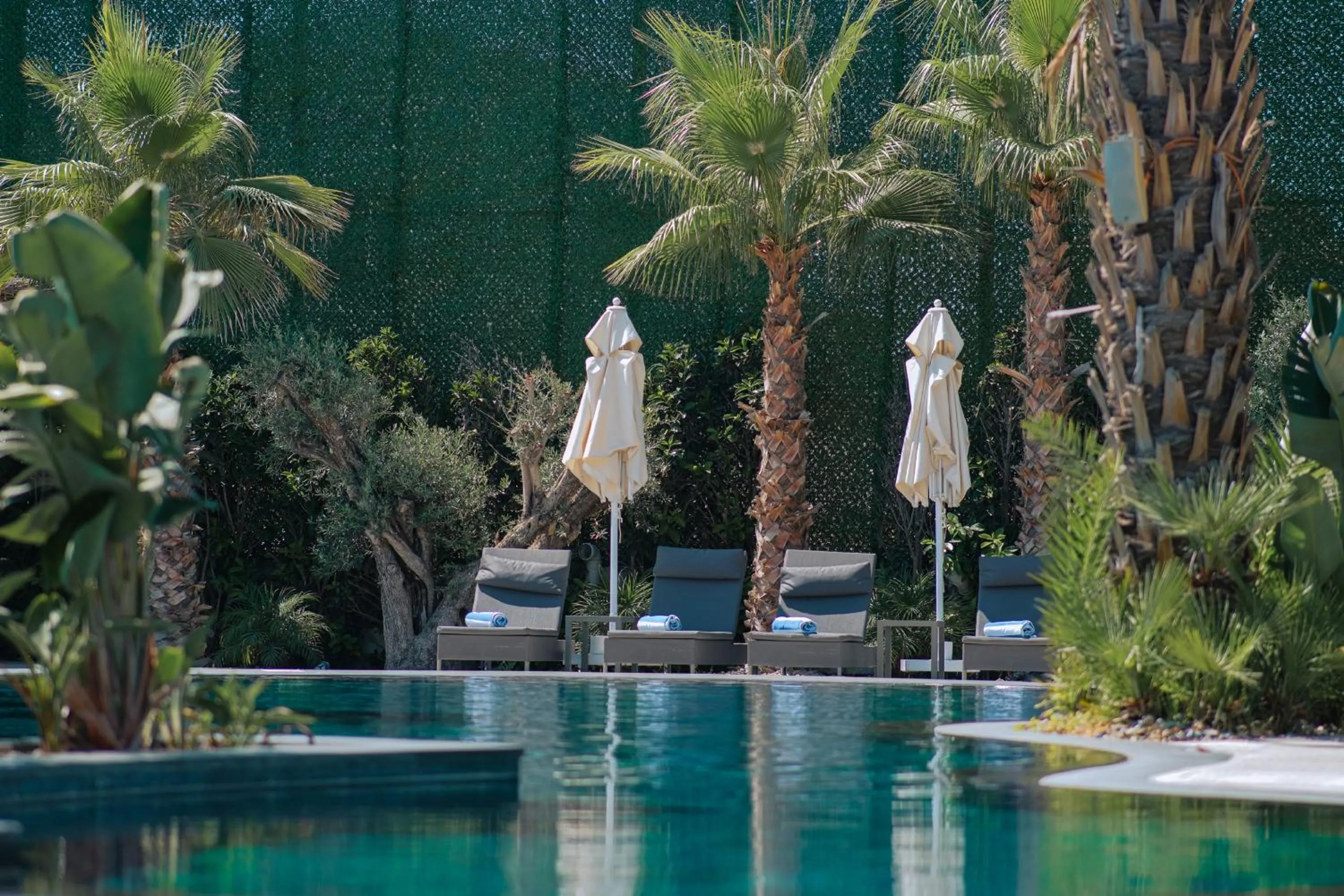 Natural landscape, Swimming Pool in Rammos Hotel Bodrum - Special Class