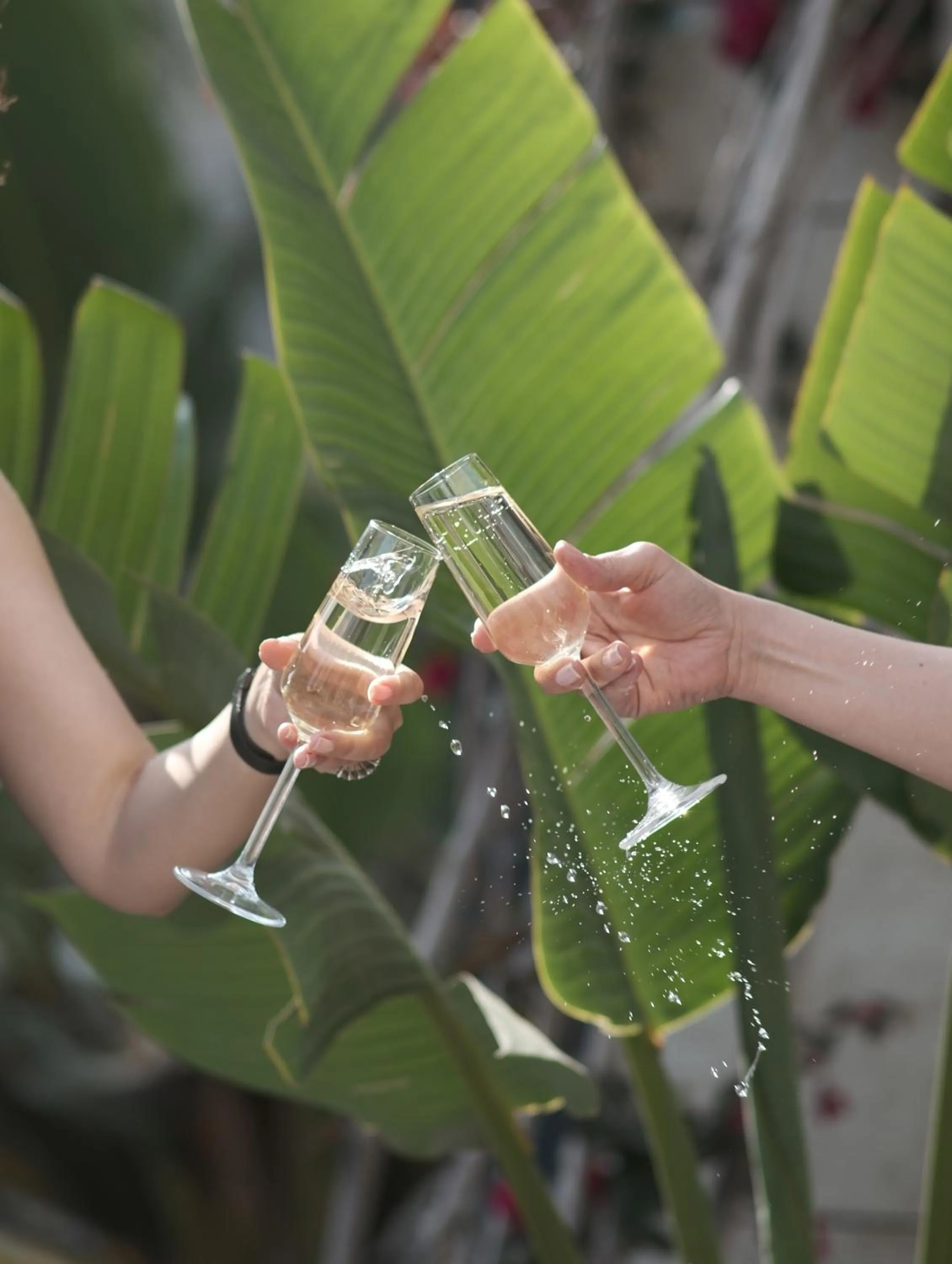 Guests, Other Animals in Rammos Hotel Bodrum - Special Class