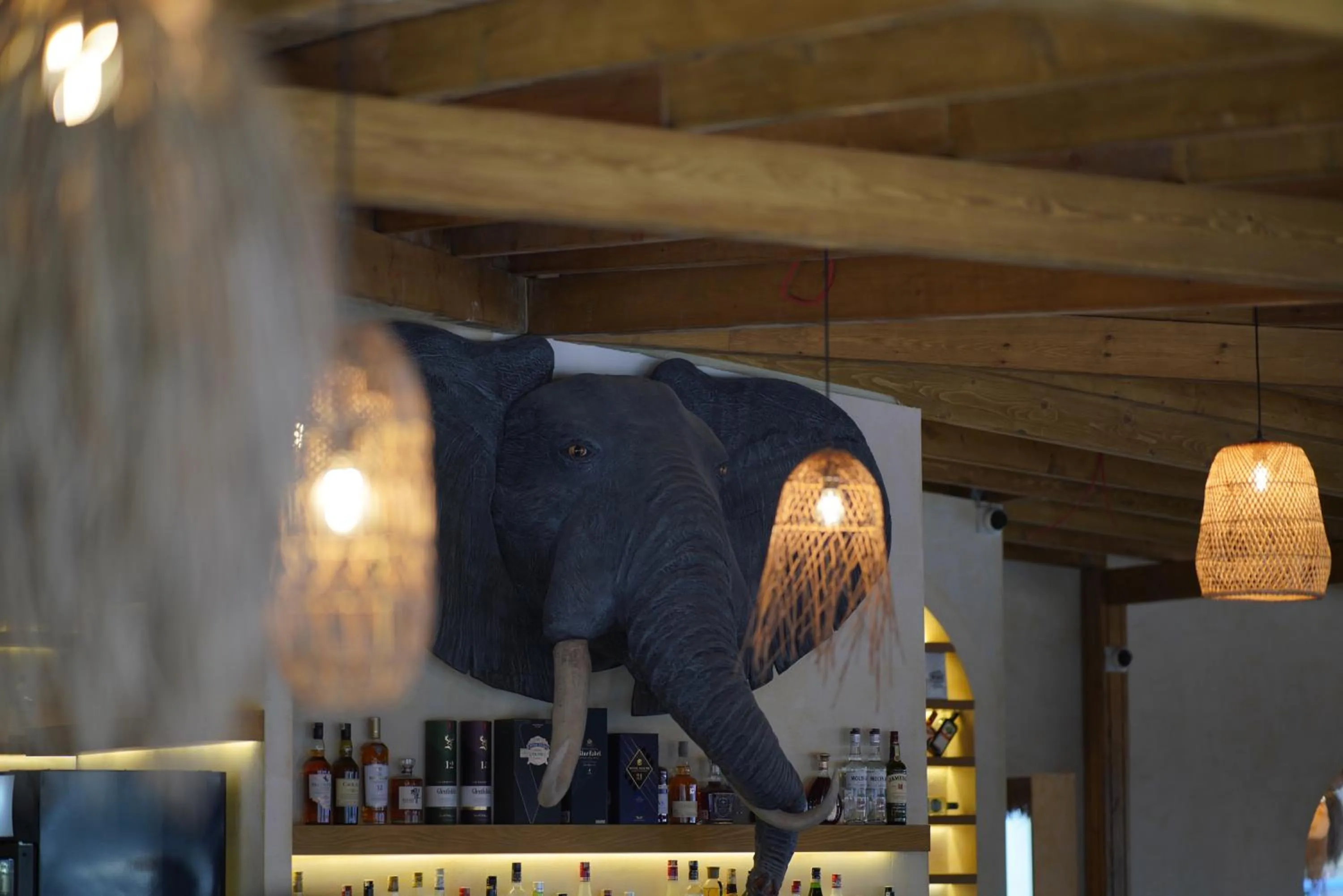 Restaurant/places to eat in Rammos Hotel Bodrum - Special Class