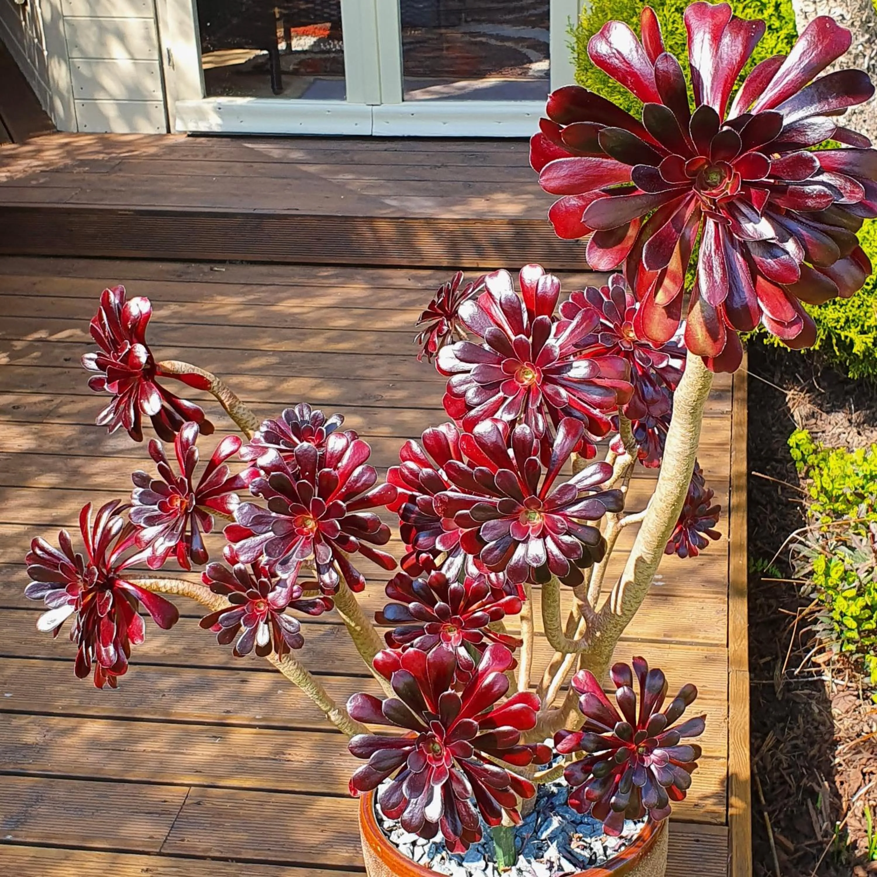 Garden in Eden's Rest Bed and Breakfast