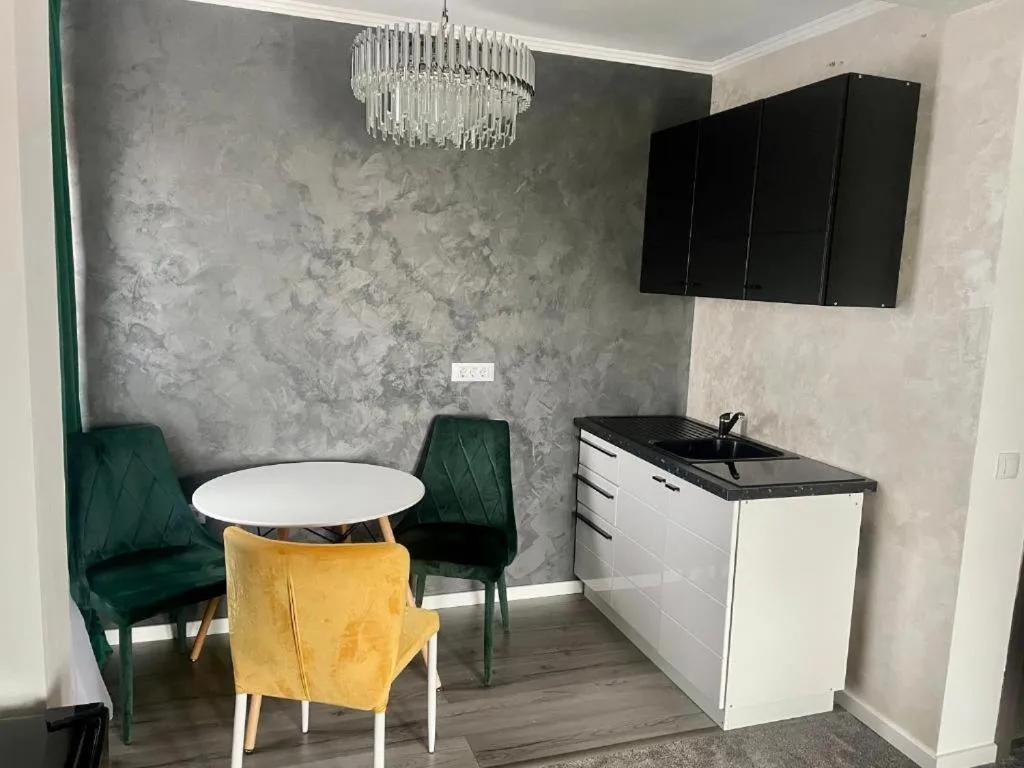 Kitchen or kitchenette in Hotel City Break