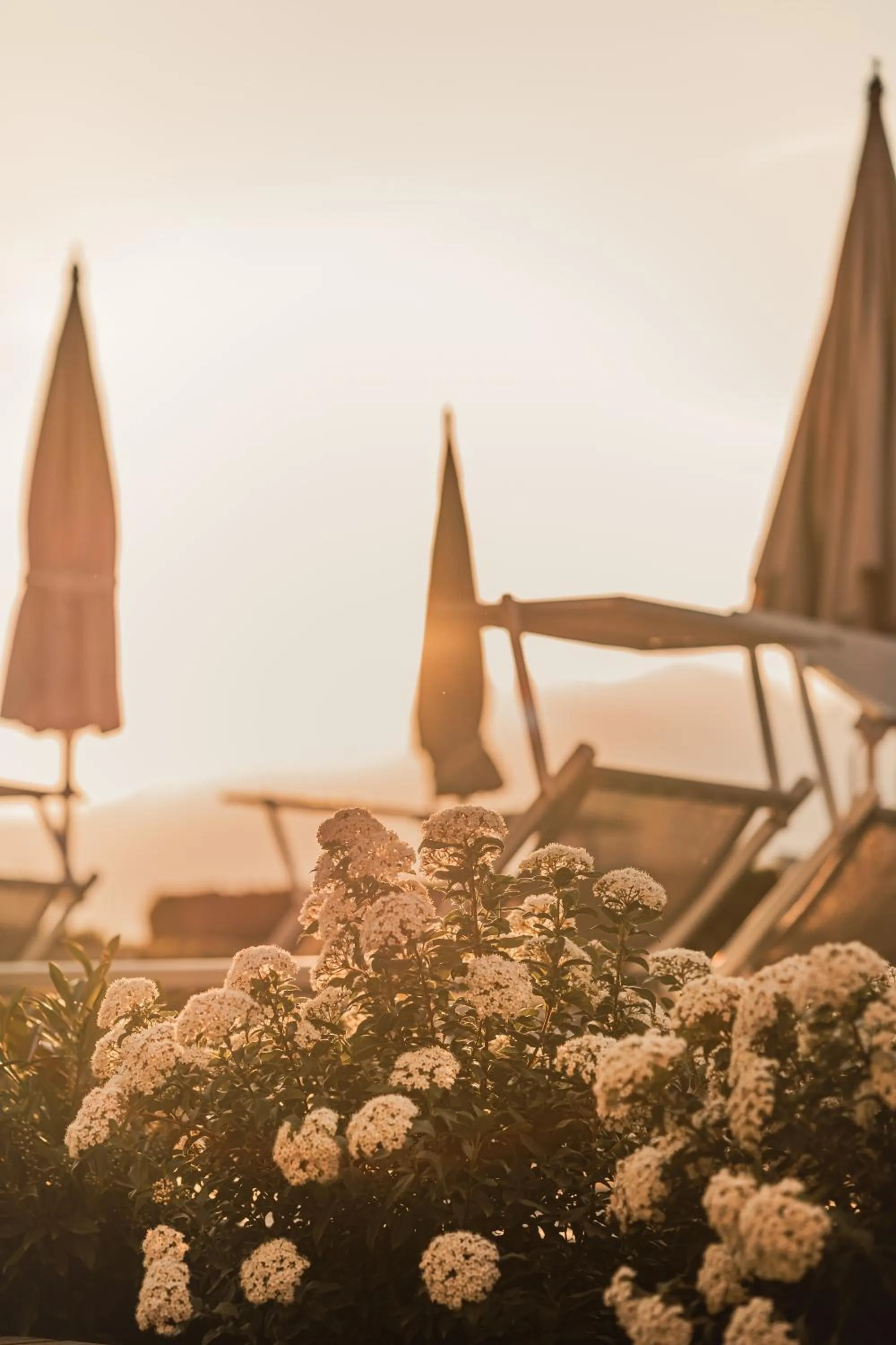 Solarium in Cristallo Sport & Wellness Hotel