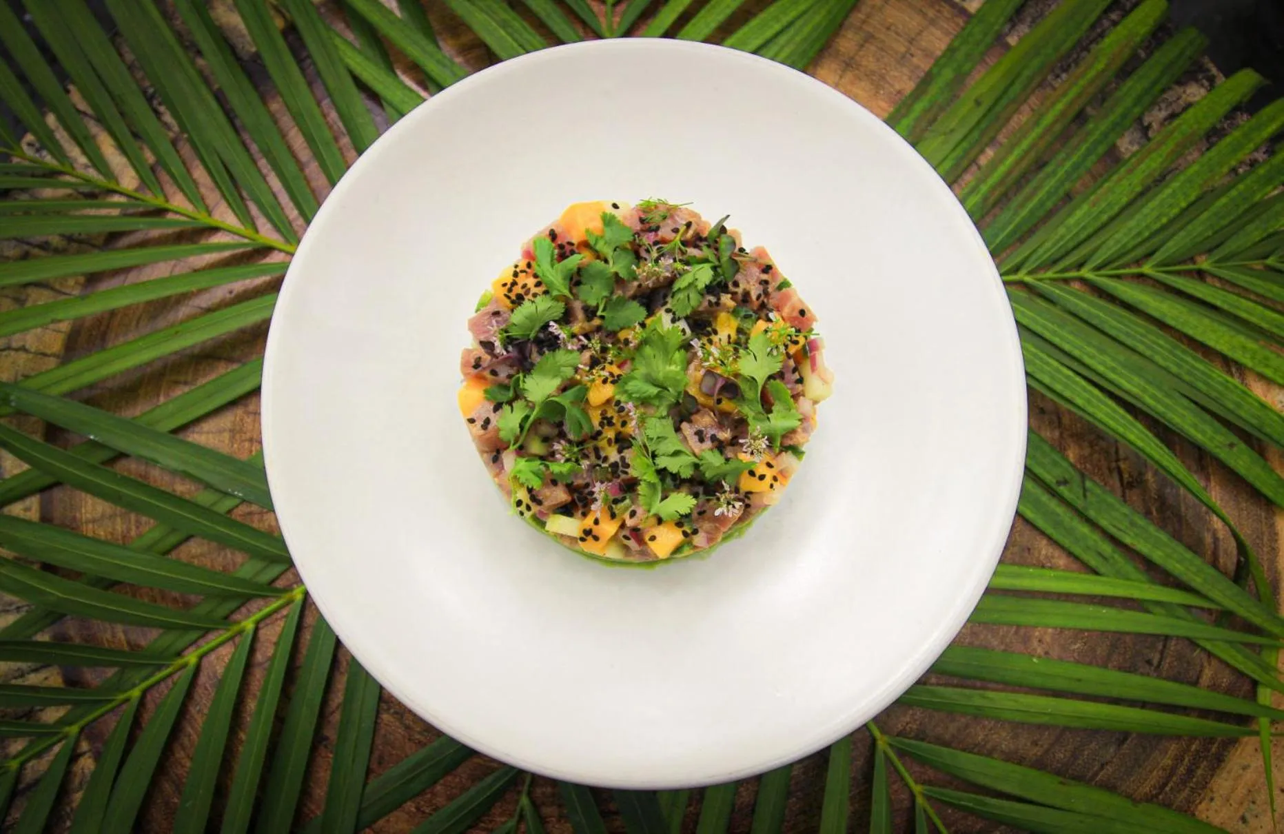 Restaurant/places to eat in The Yellow Nest Tulum