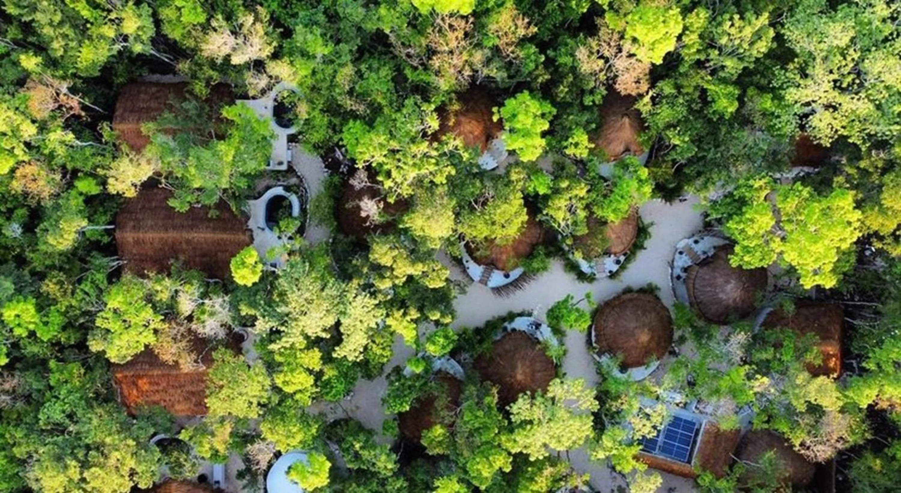 Property building in The Yellow Nest Tulum